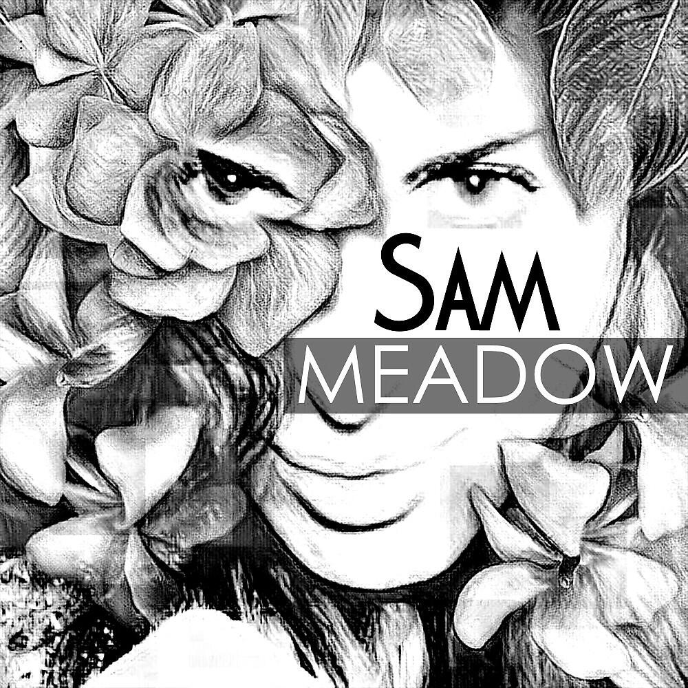 Постер альбома Sam