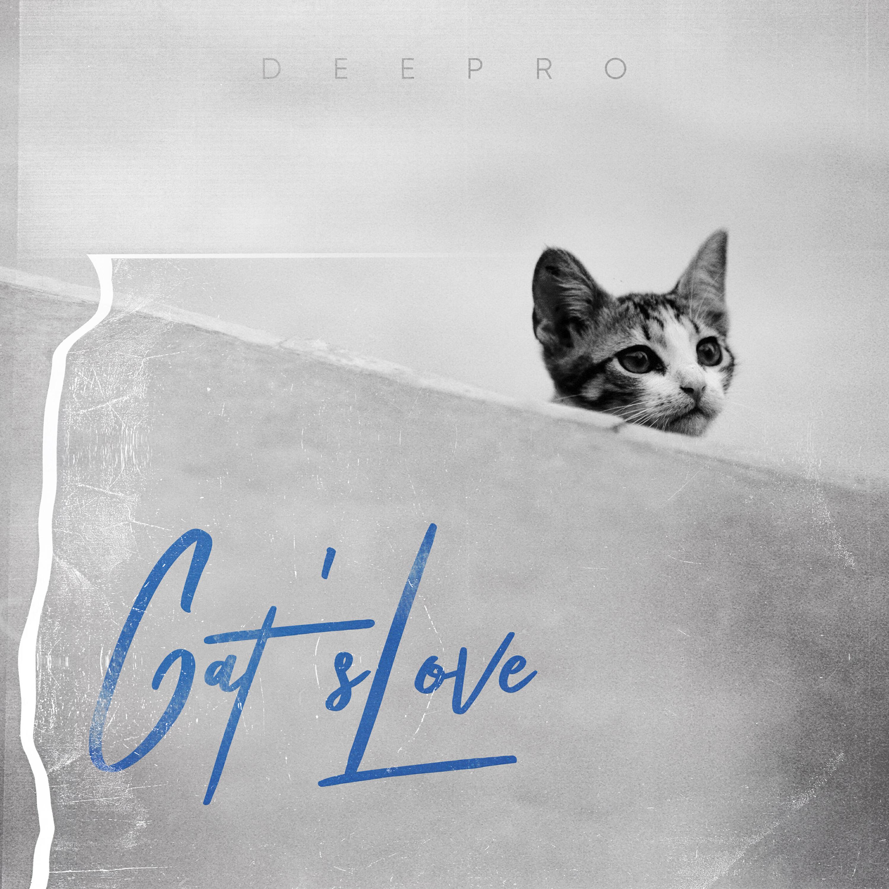 Релиз Cat's Love