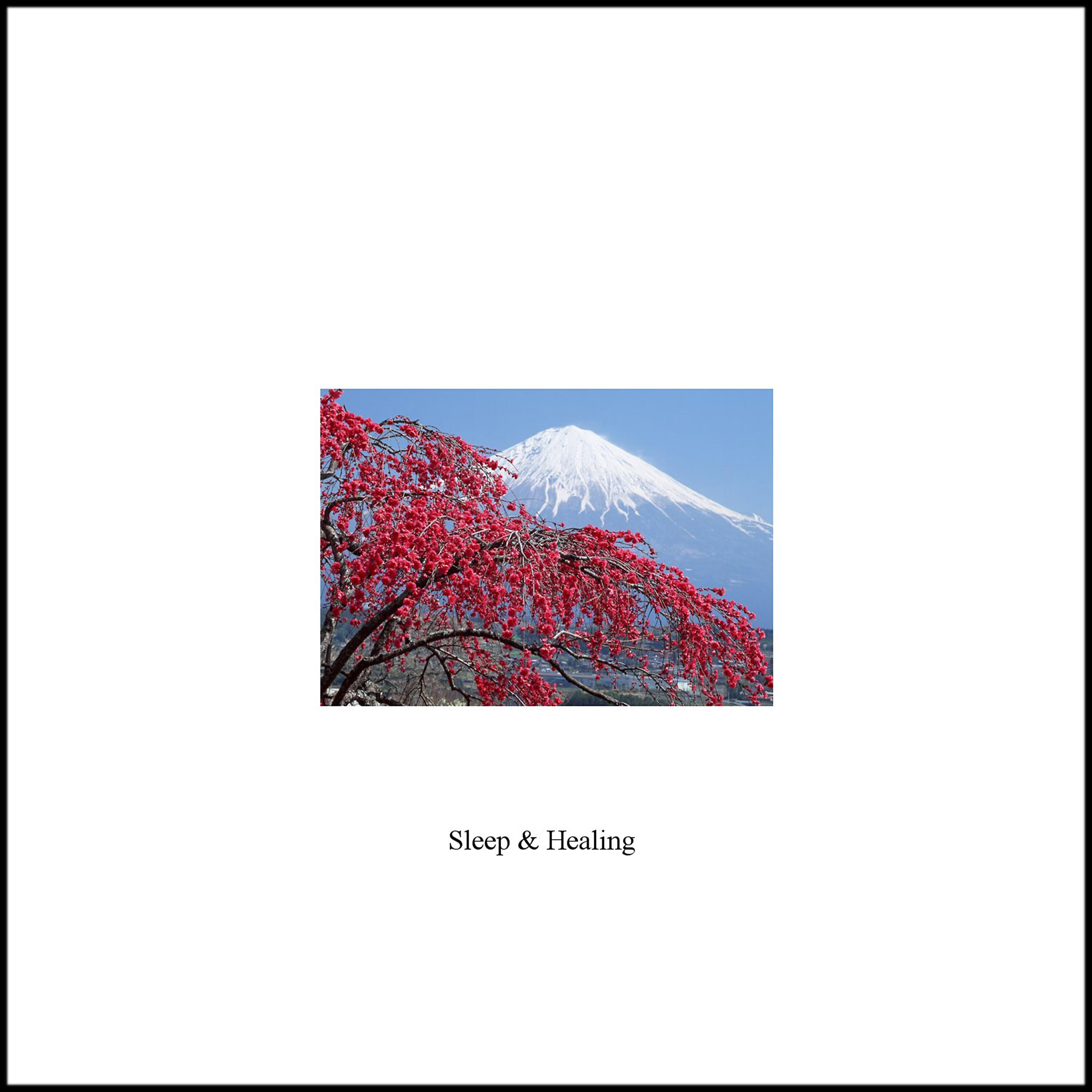 Релиз Sleep and Healing - Single