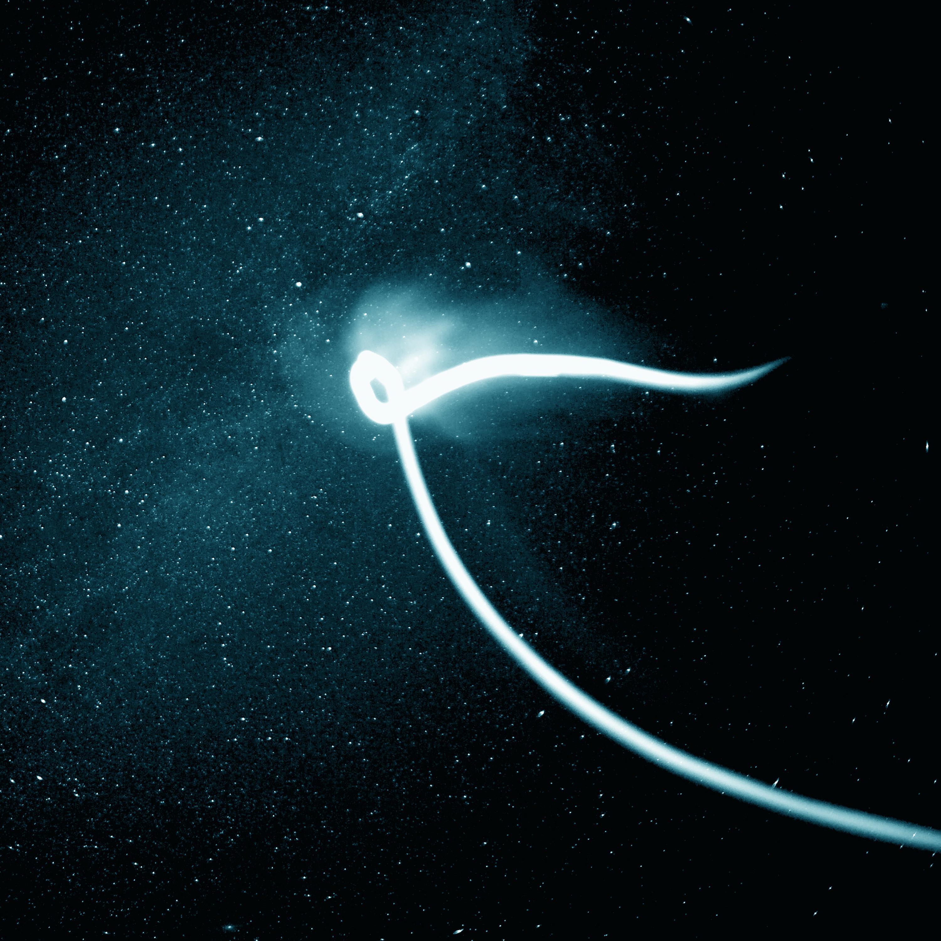 Релиз Stella by Starlight