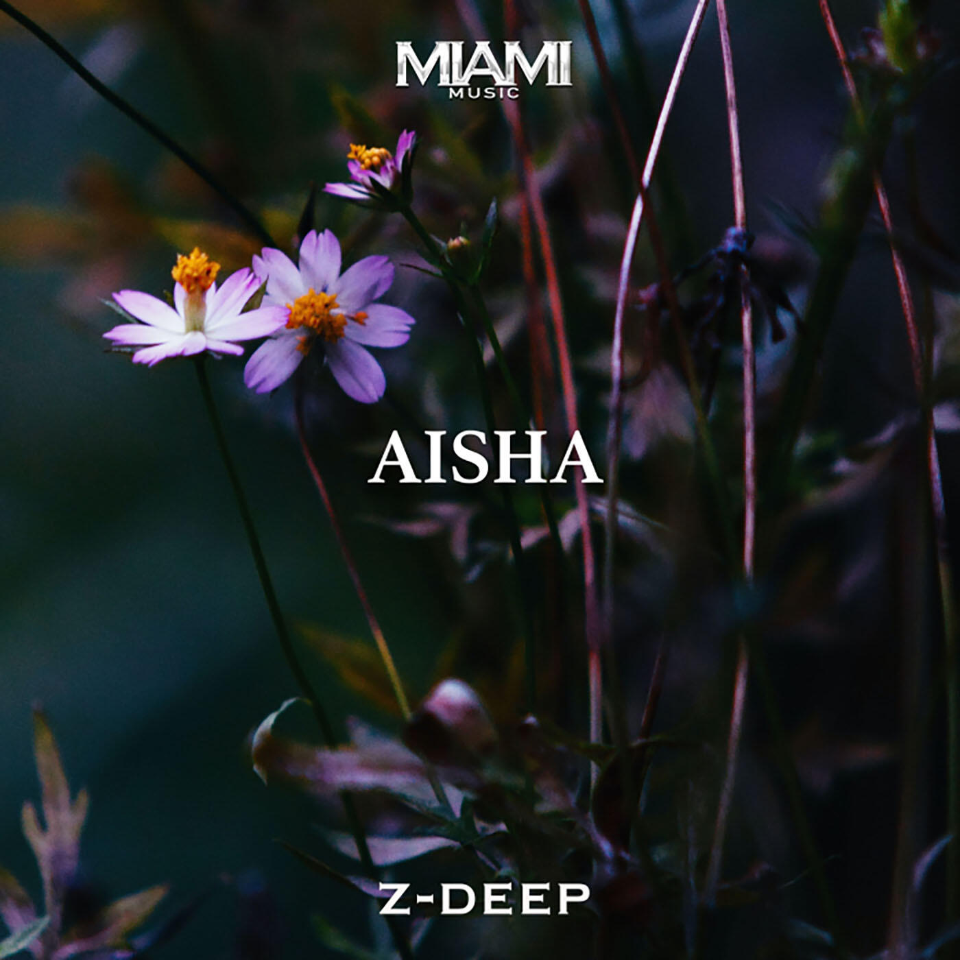 Релиз Aisha