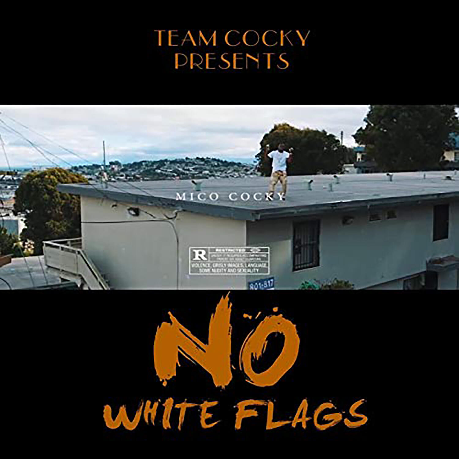 Релиз No White Flags
