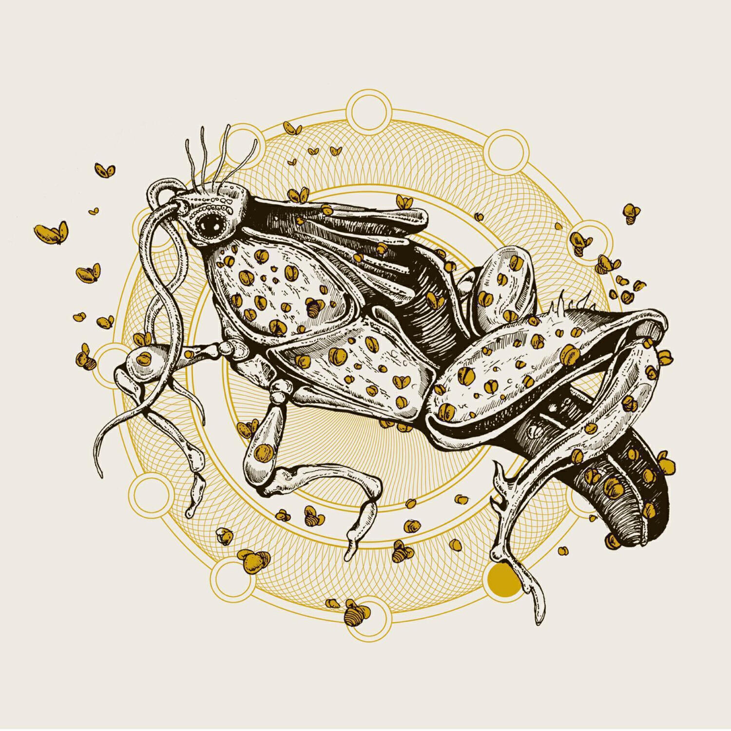 Релиз The Body / Shallow Grave