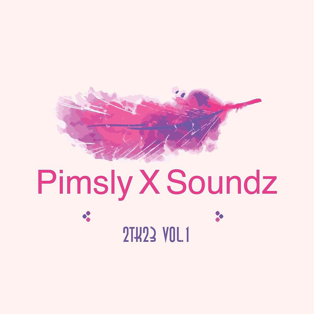 Релиз Pimsly X Soundz 2TK23, Vol. 1