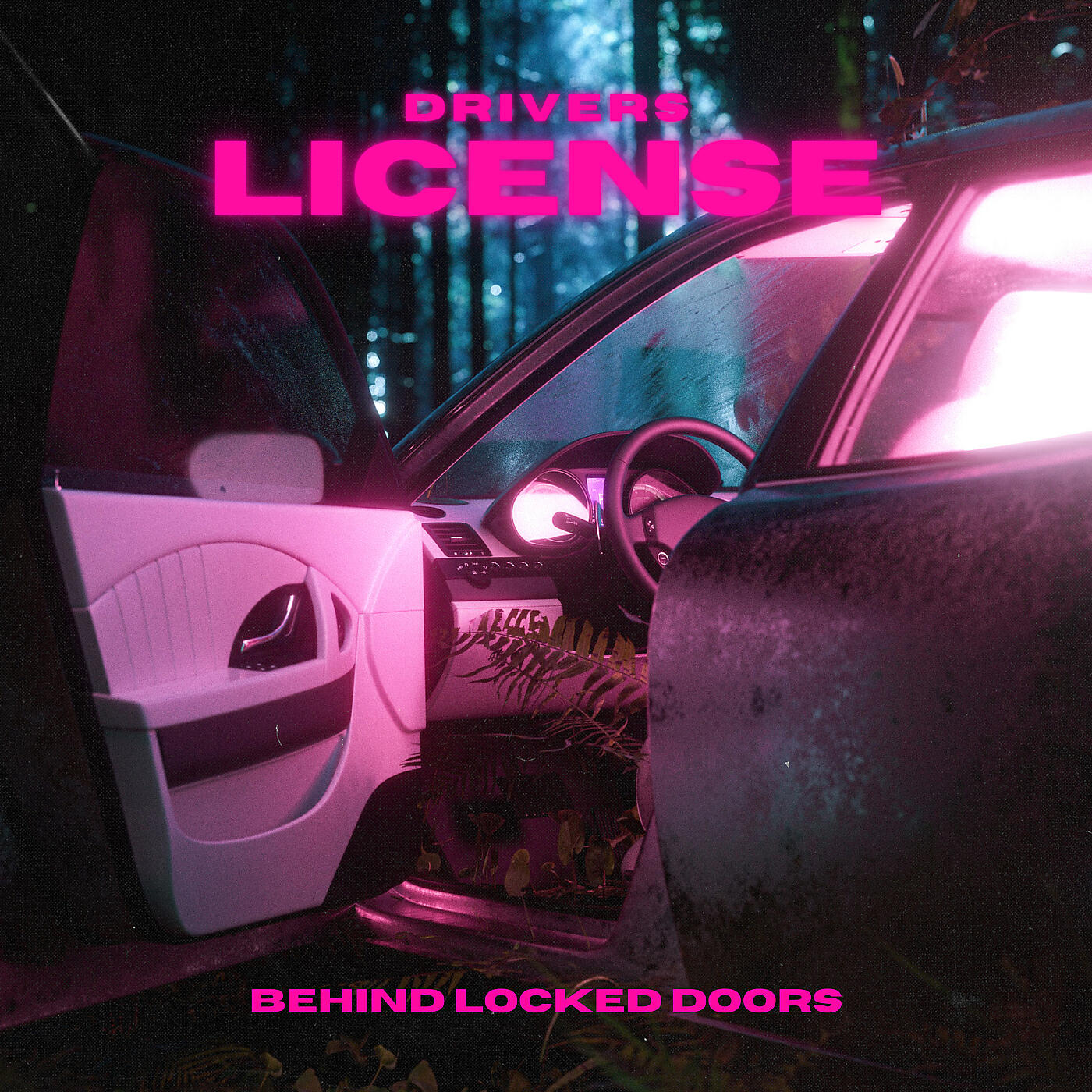 Behind Locked Doors, Micki Sobral - Drivers License