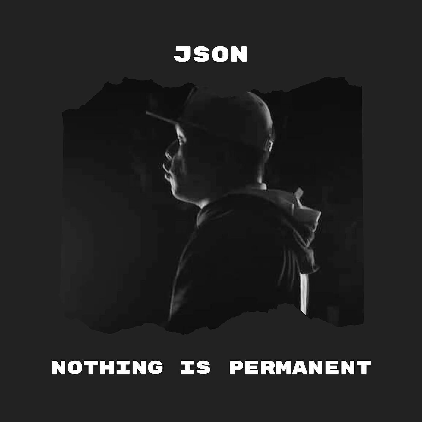 Постер альбома Nothing Is Permanent