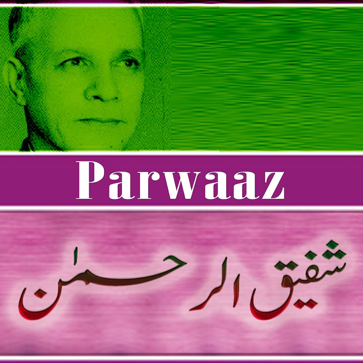 Релиз Parwaaz
