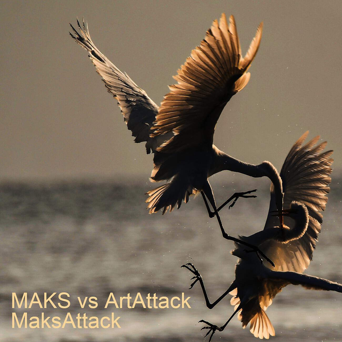 Релиз MaksAttack