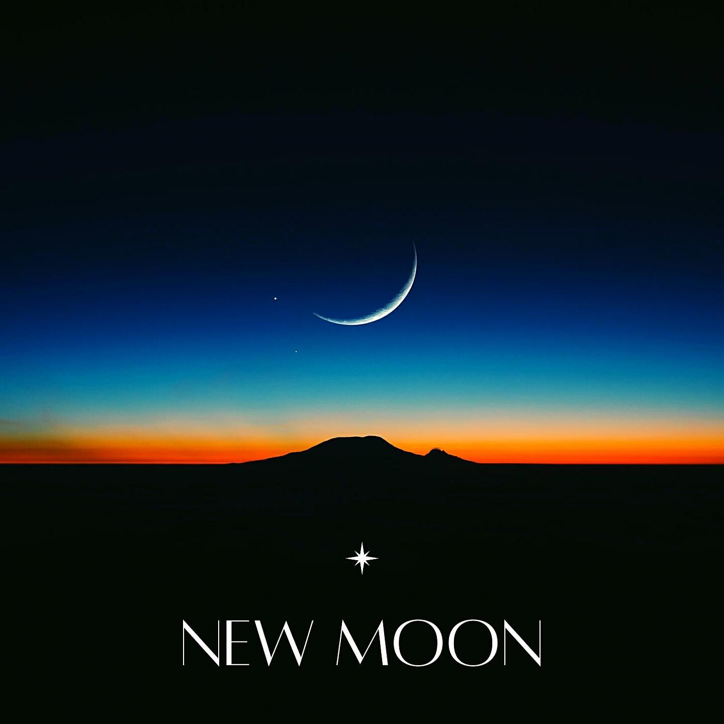 Релиз New Moon