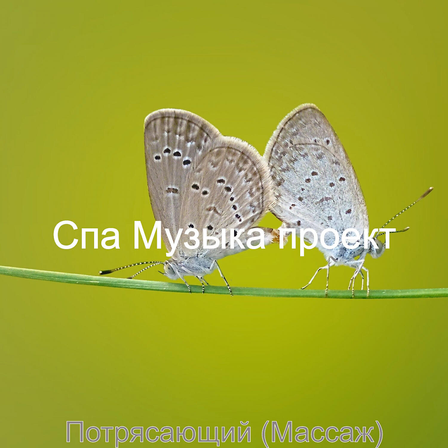 Релиз Потрясающий (Массаж)