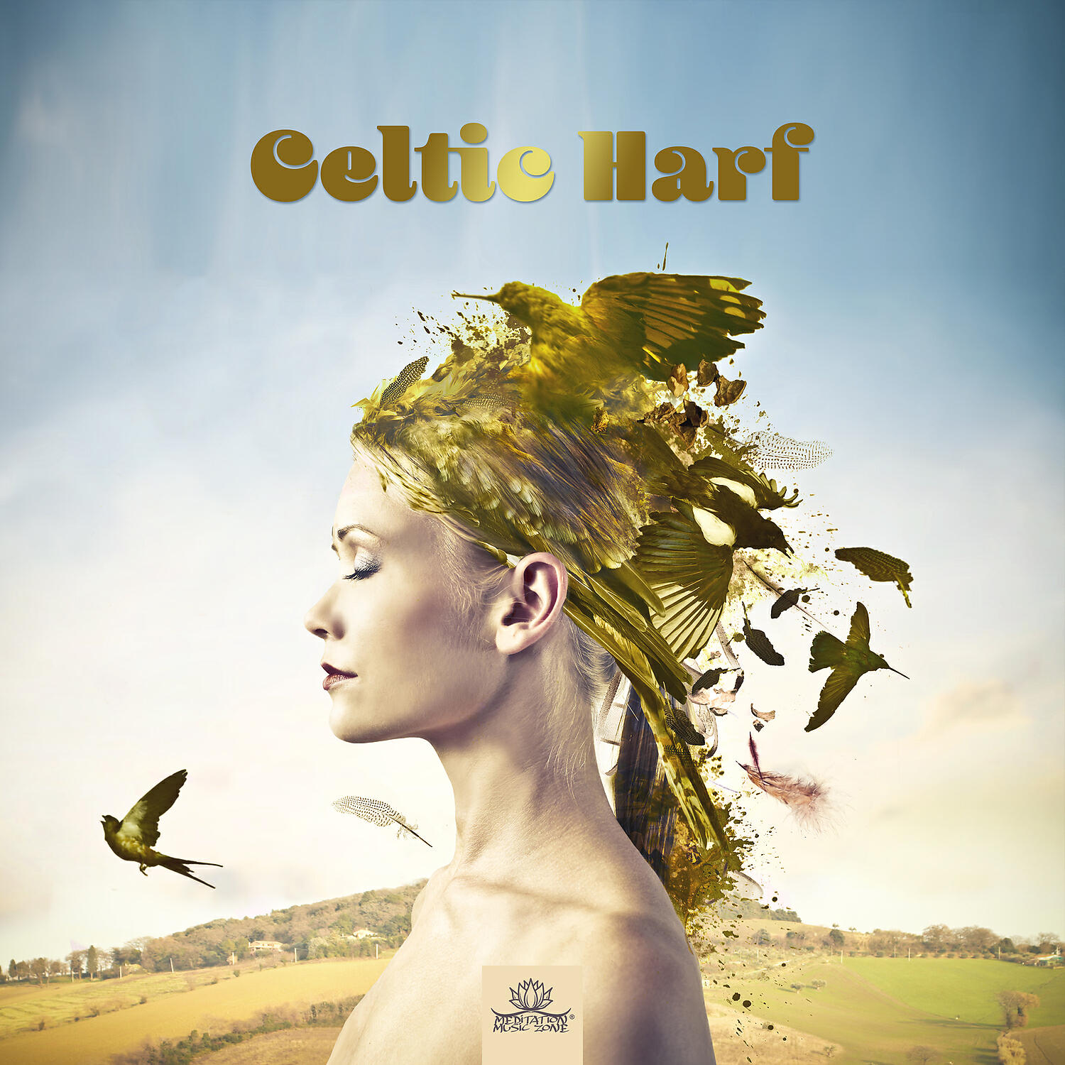 Постер альбома Celtic Harf: Folk Music, Magic Blossom Woods, Beautiful, Enchanting, Magical