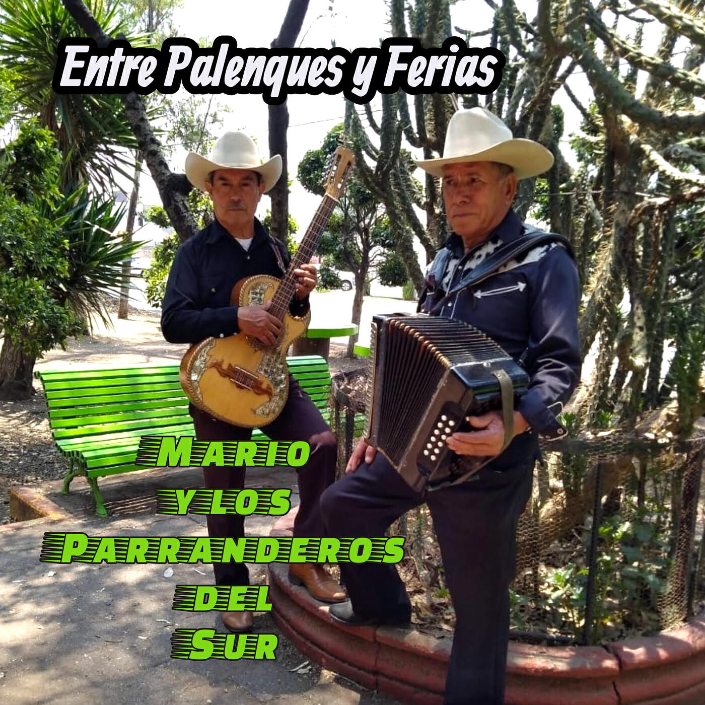 Mario Y Los Parranderos Del Sur