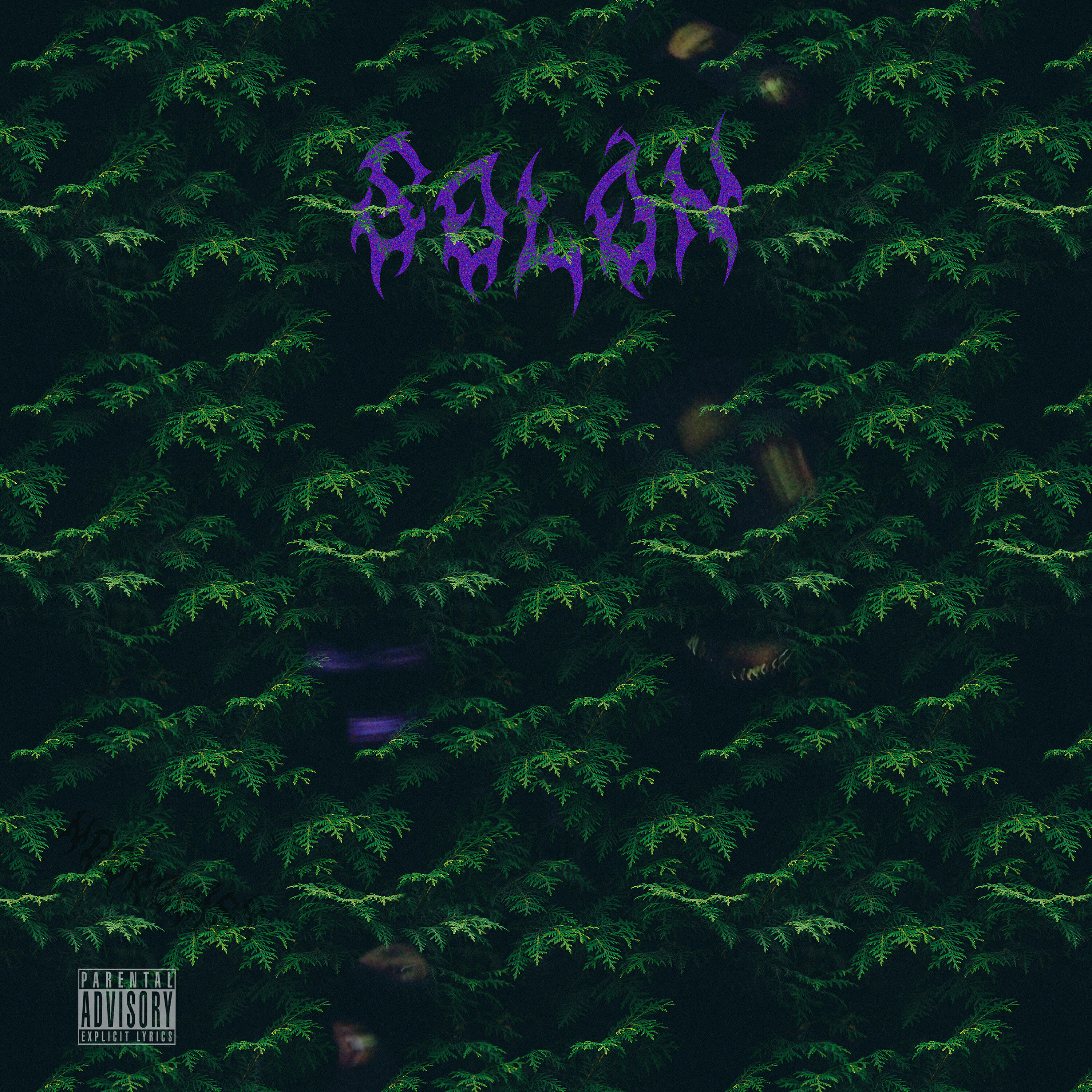 Релиз Solon