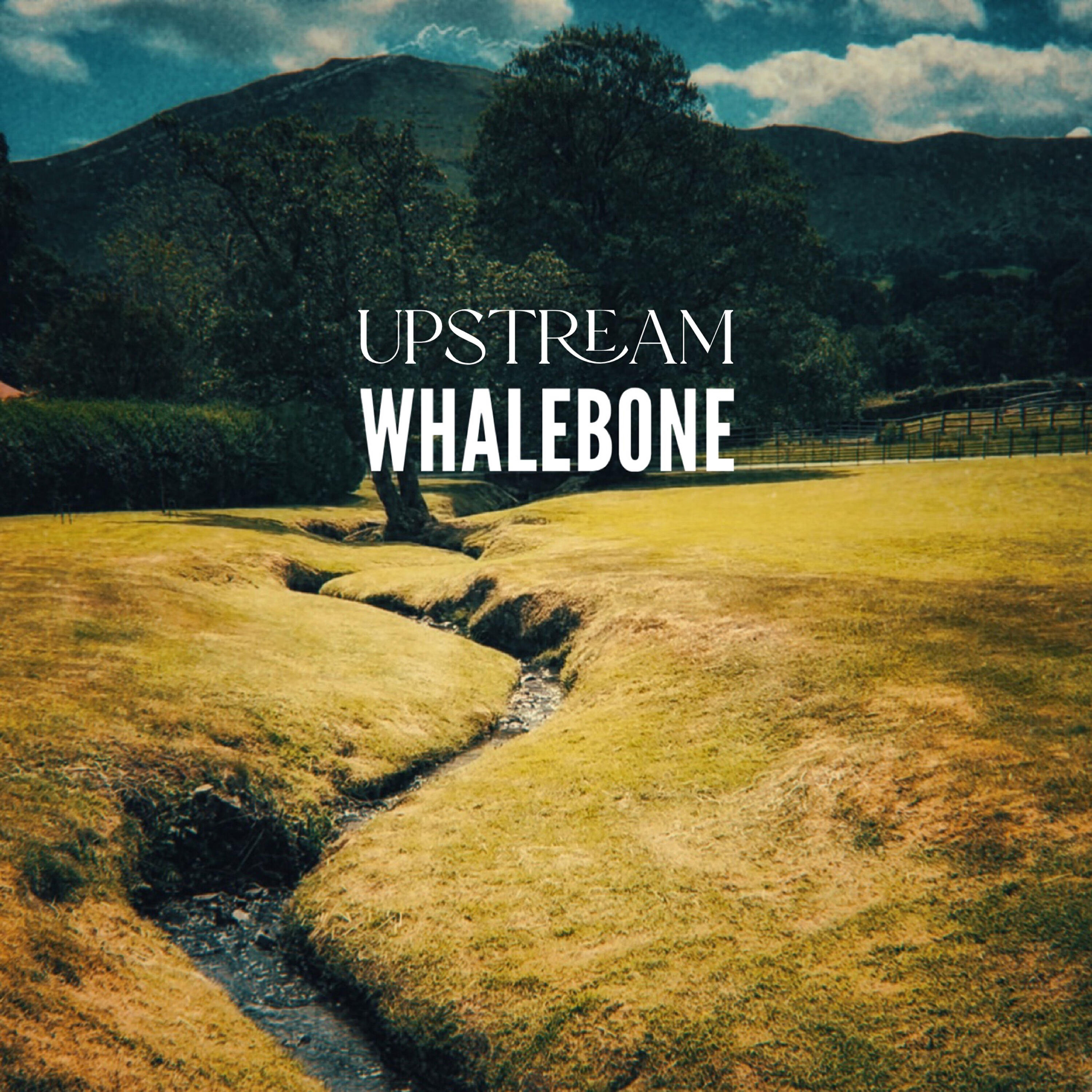 Релиз Upstream