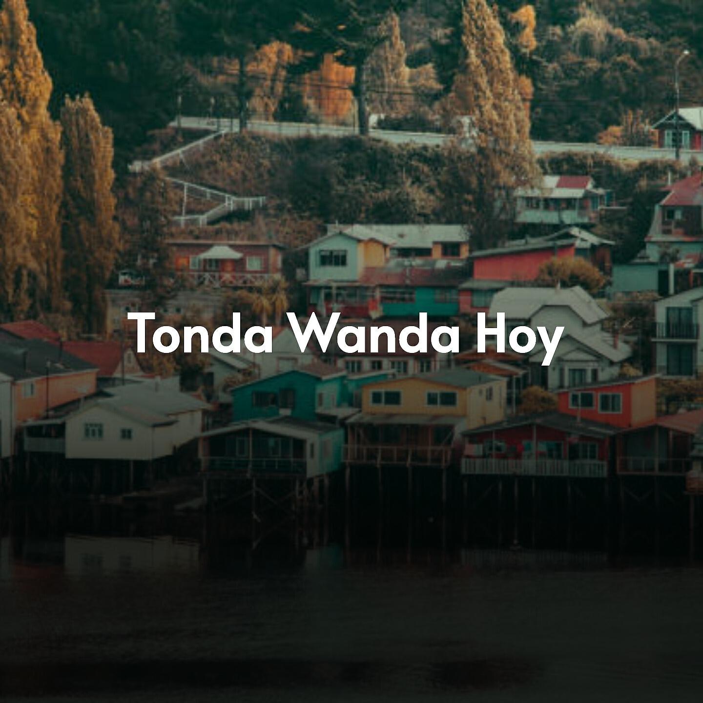 Постер альбома Tonda Wanda Hoy