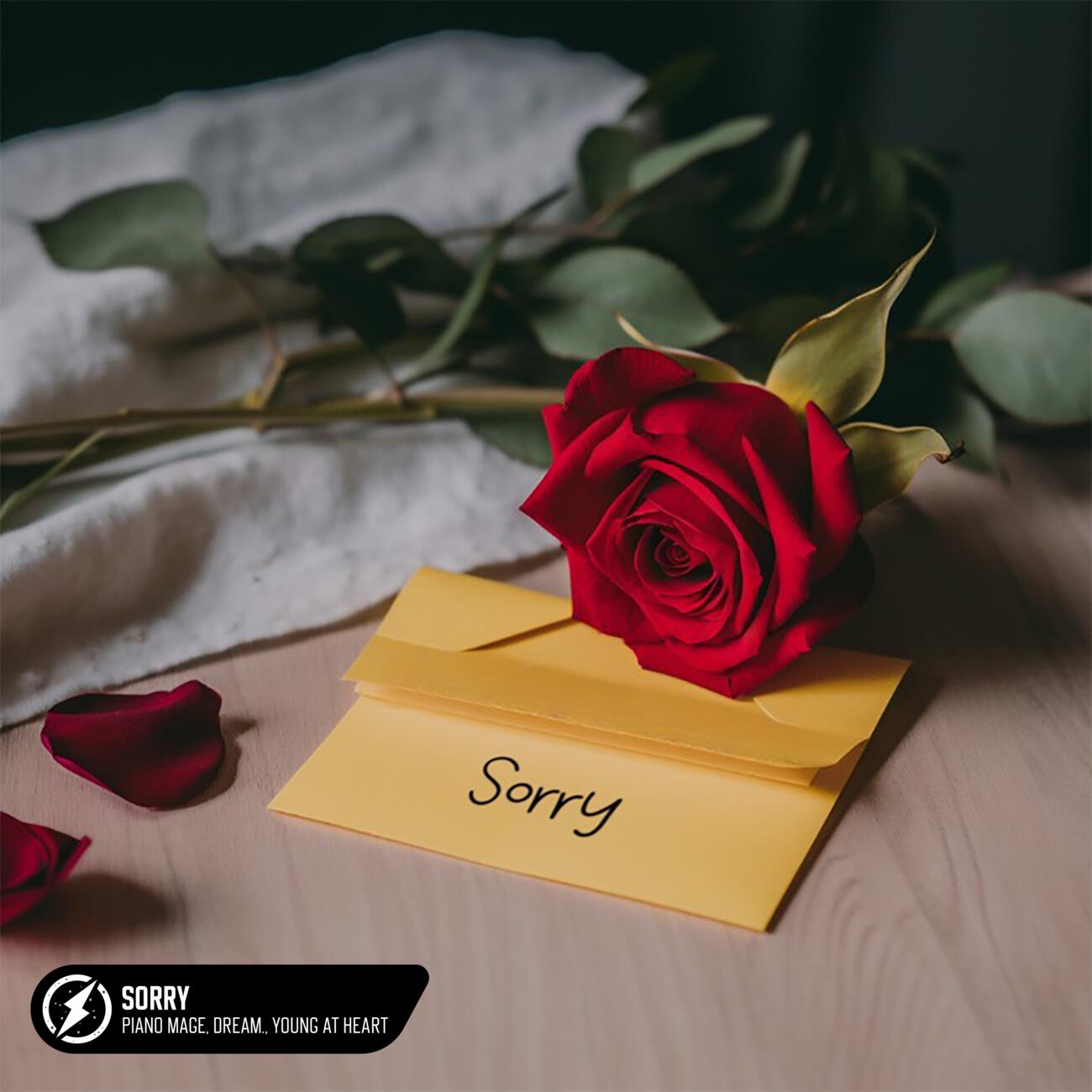 Piano Mage, Dream., Young At Heart - Sorry