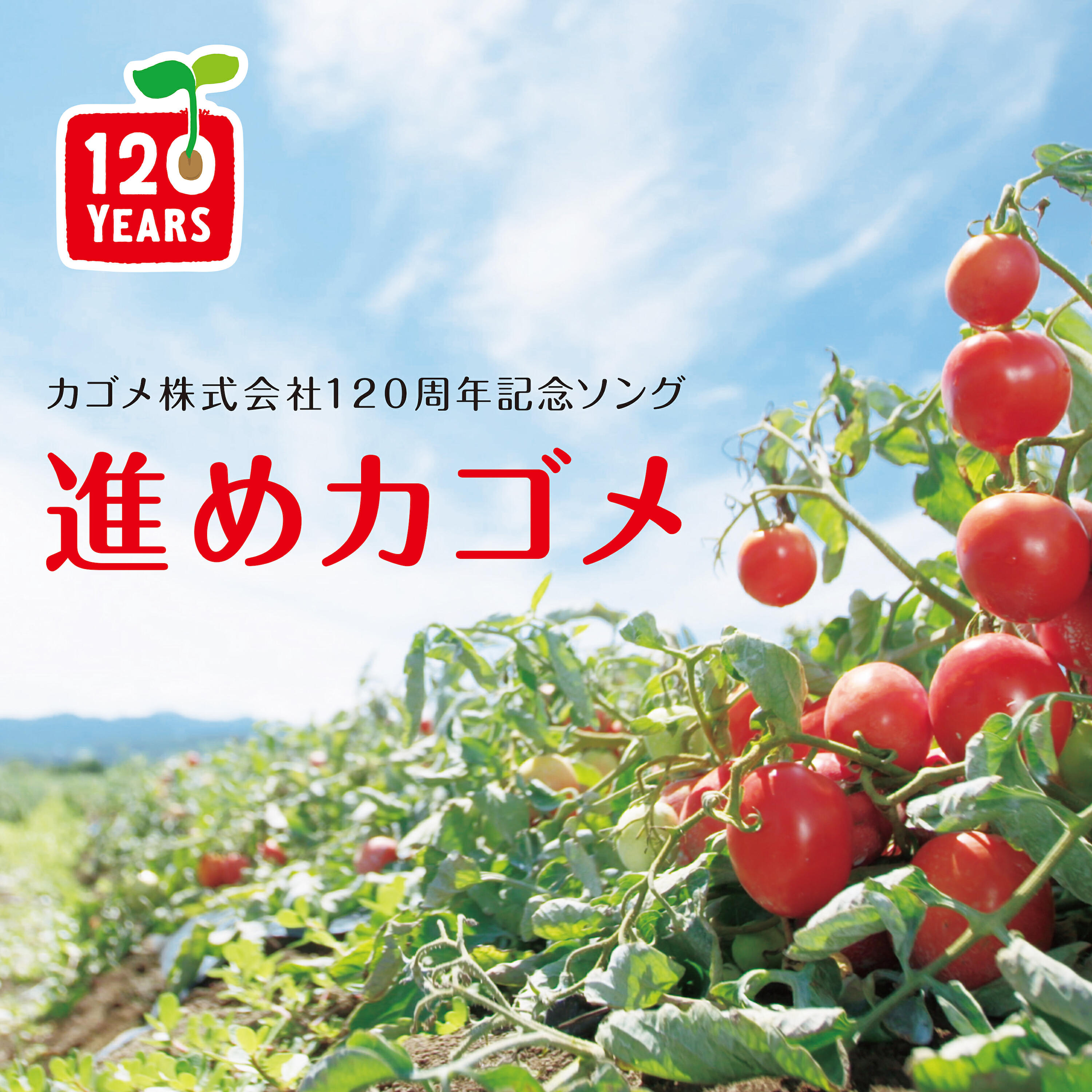 カゴメ株式会社