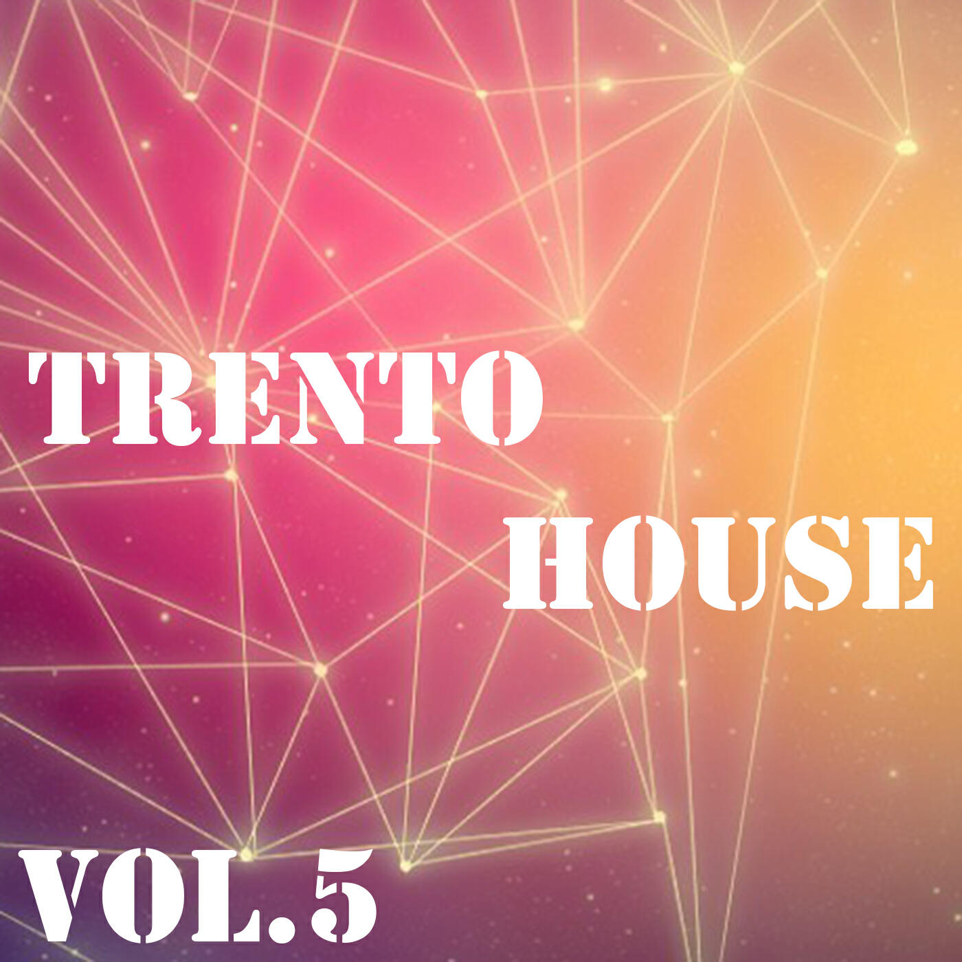 Релиз Trento House, Vol.5