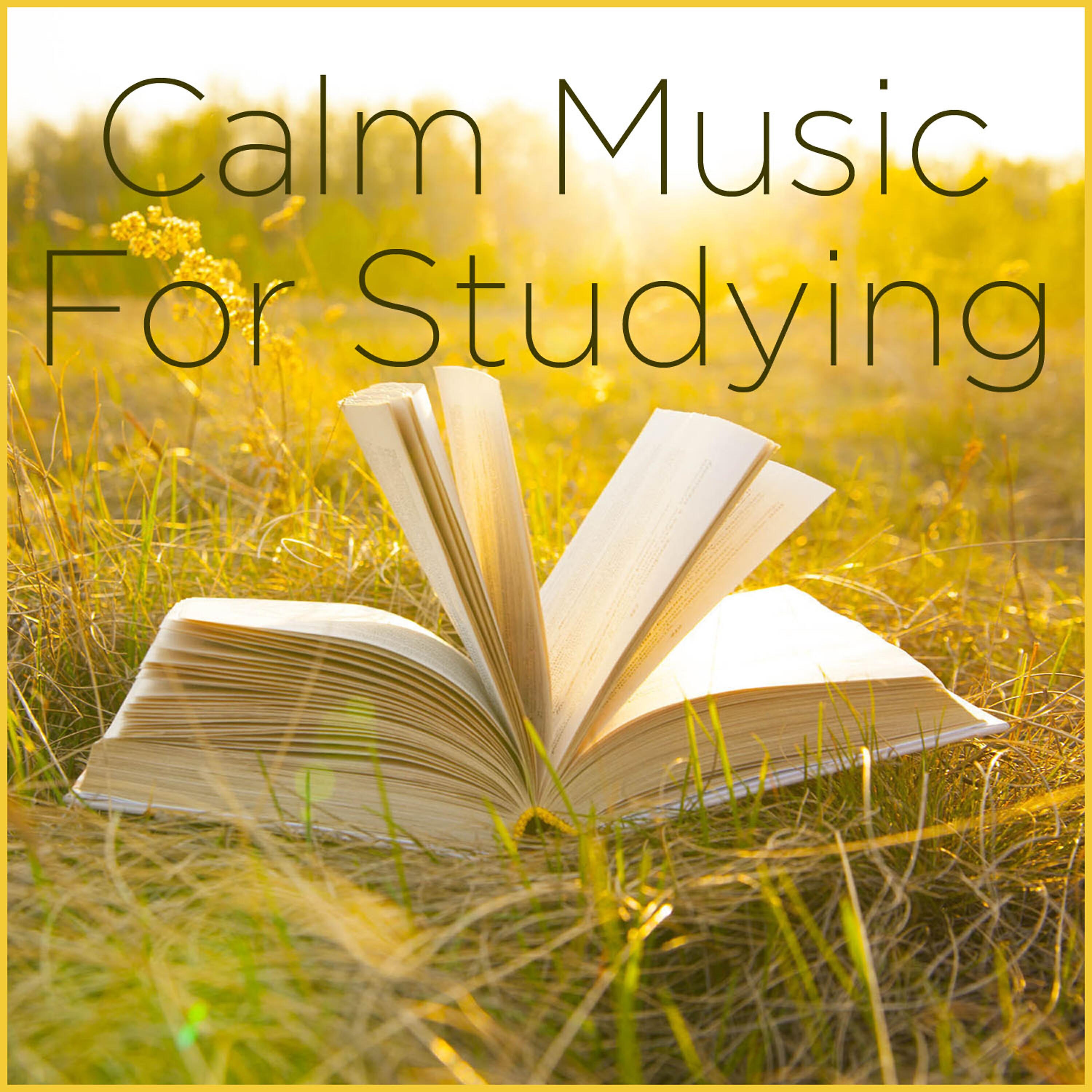 Постер альбома Calm Music for Studying and Focus Music