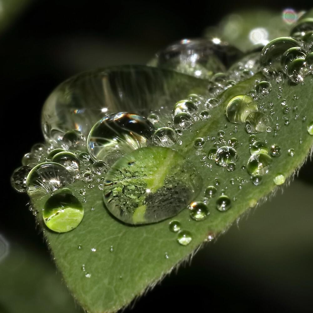 Релиз Sleep Well Rain Sound (Sleep Deep and Relaxed)