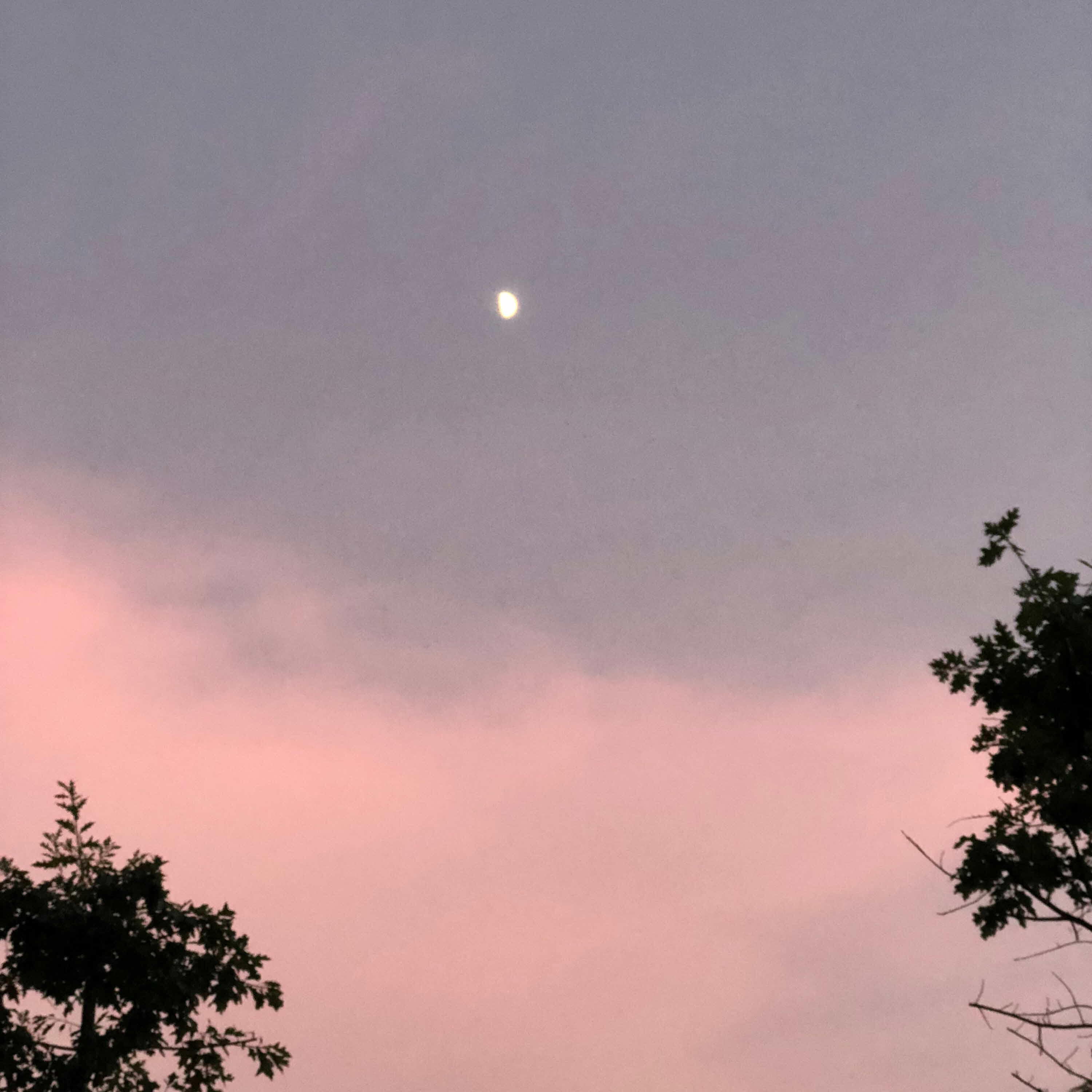 Трек Dream of Midsummer Night