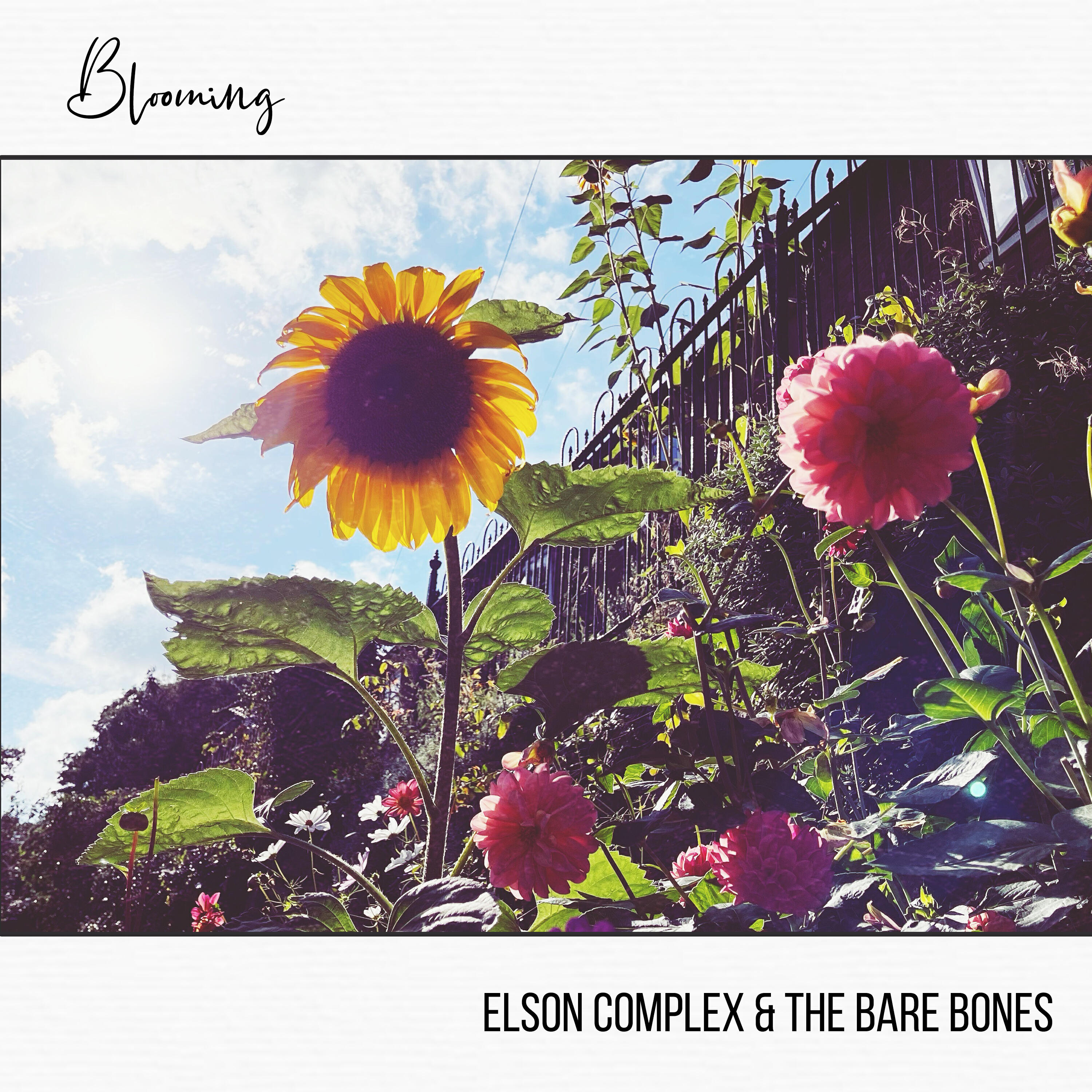 Релиз Blooming