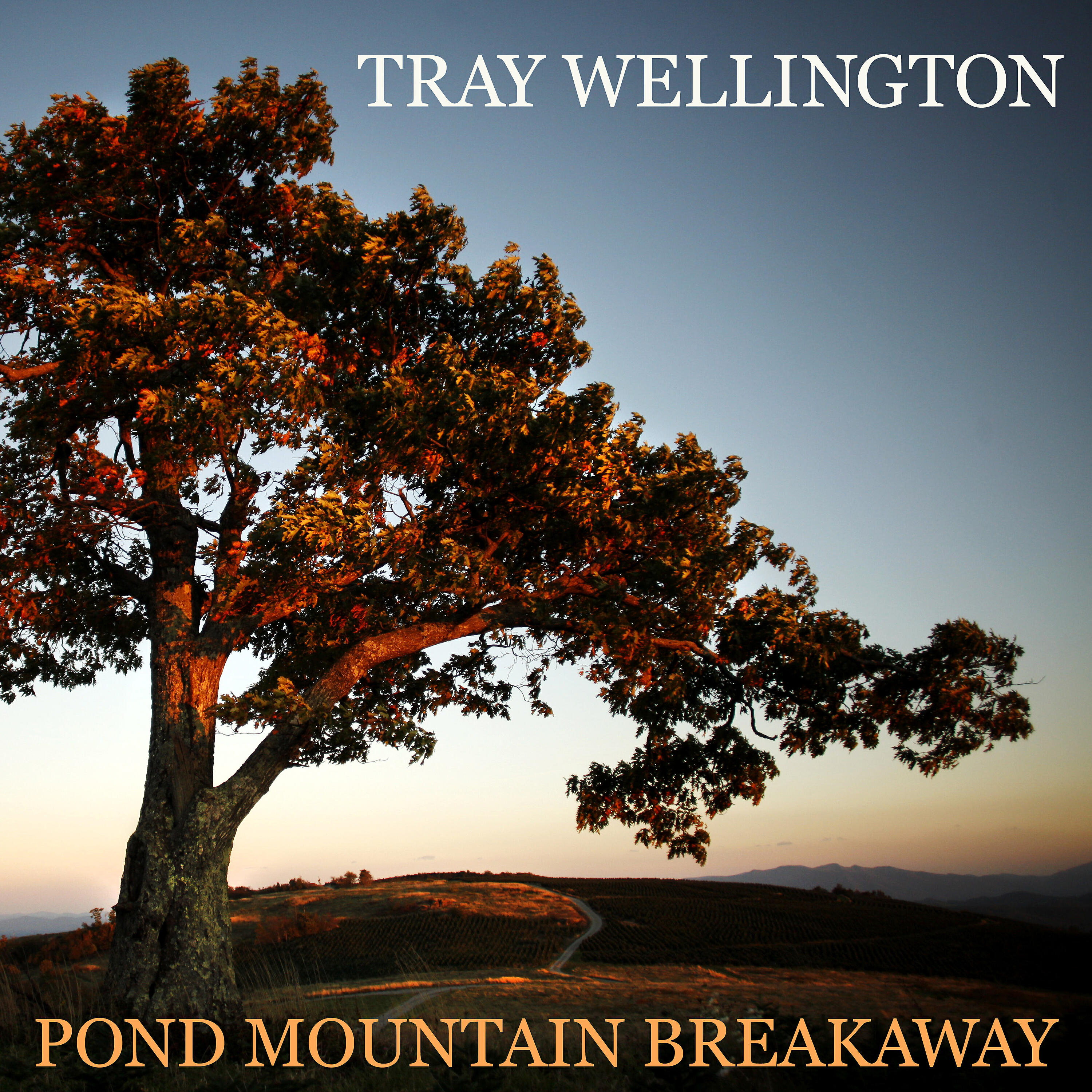 Релиз Pond Mountain Breakaway