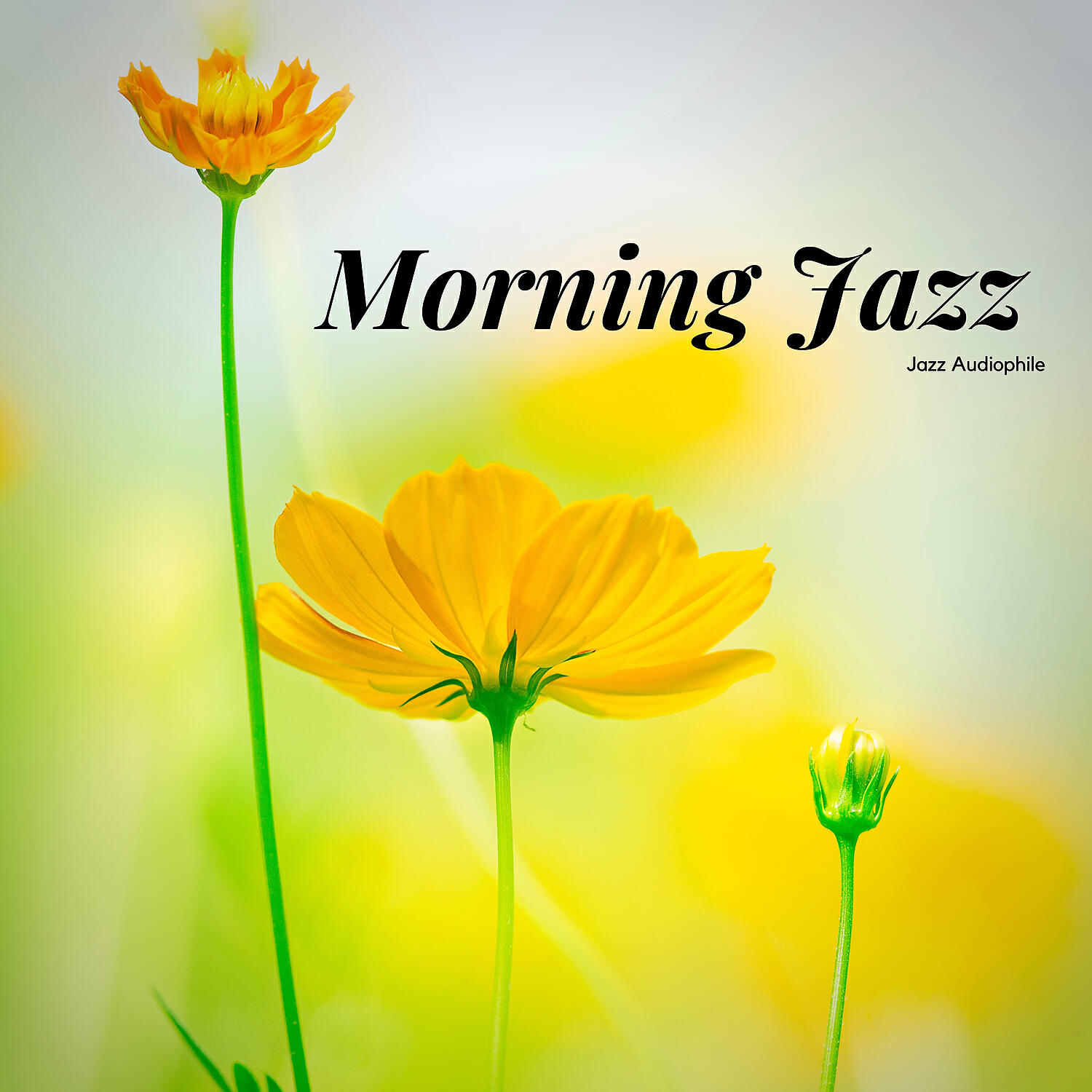Релиз Morning Jazz