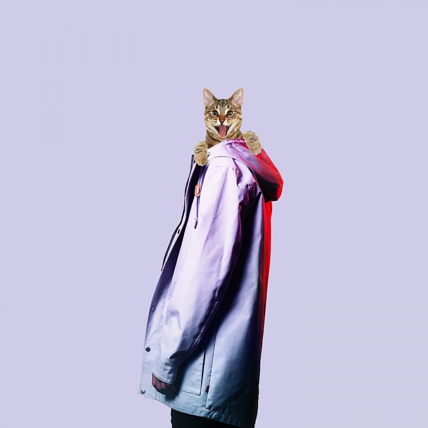 Постер альбома Crazy