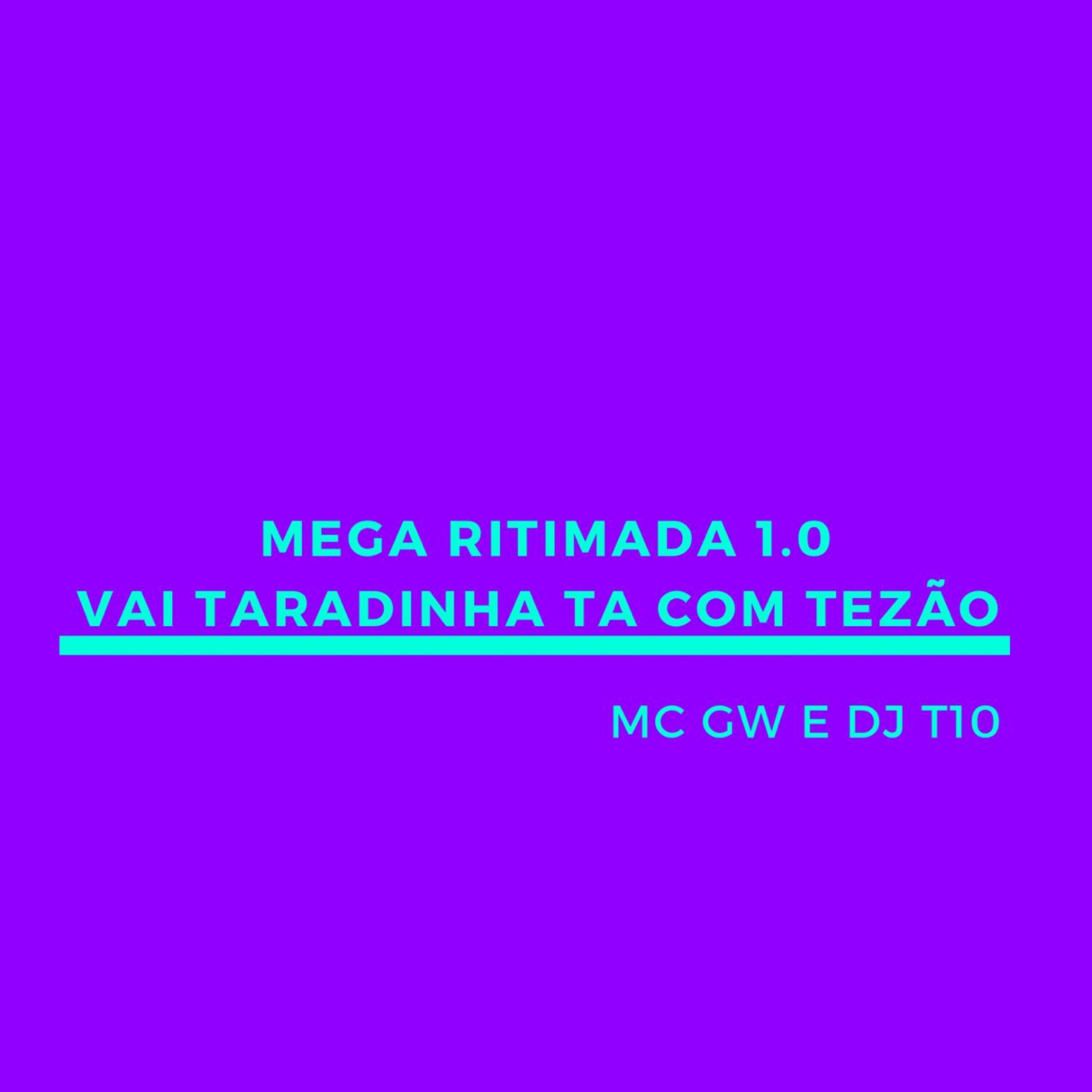 Постер альбома Mega Ritimada 1.0 - Vai Taradinha Ta Com Tezão