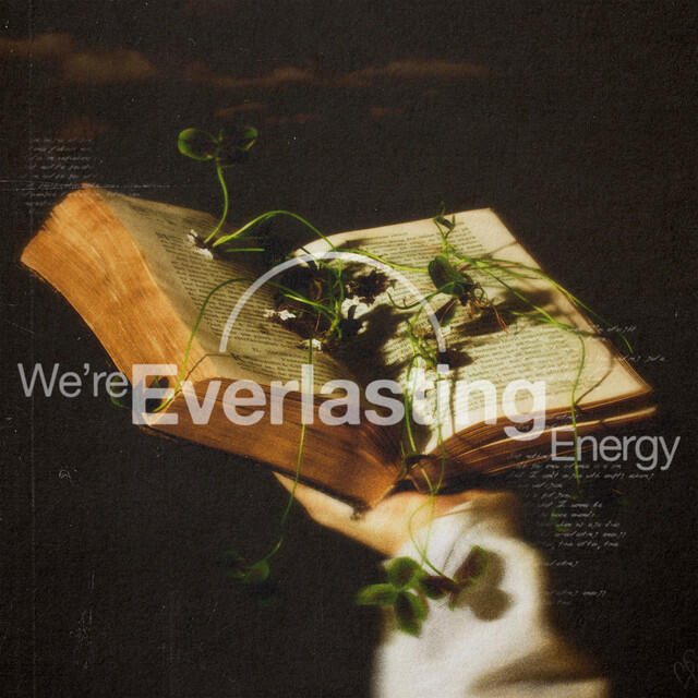 Релиз We're Everlasting Energy