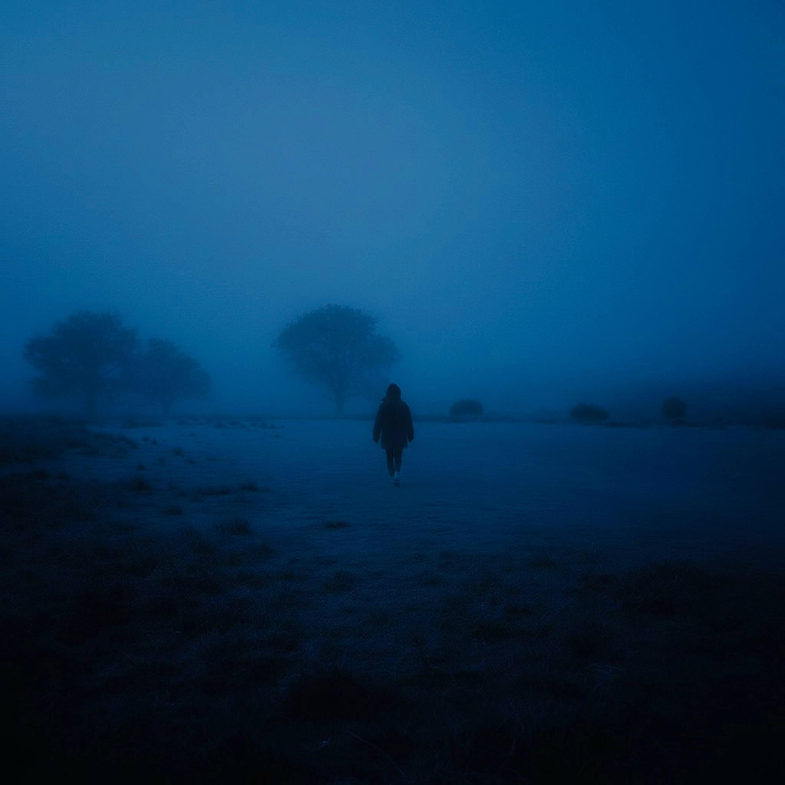 Релиз void