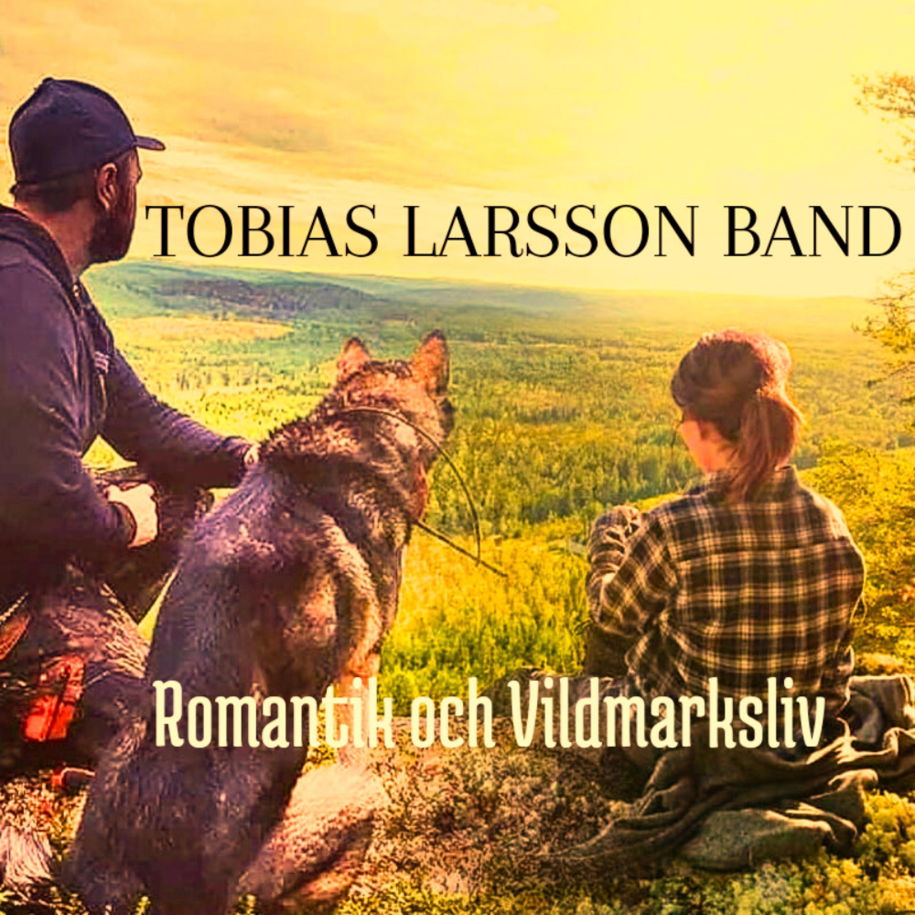 TOBIAS LARSSON BAND