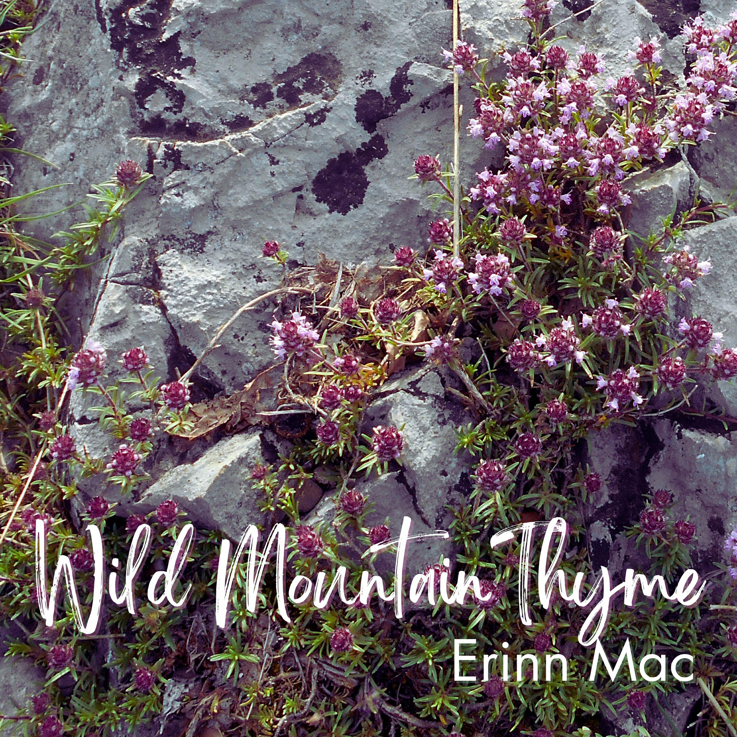 Релиз Wild Mountain Thyme