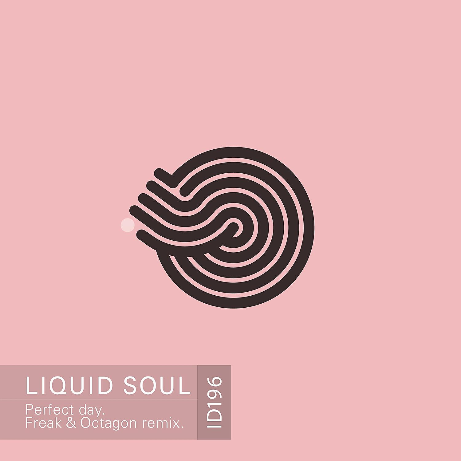 Релиз Perfect Day Remix