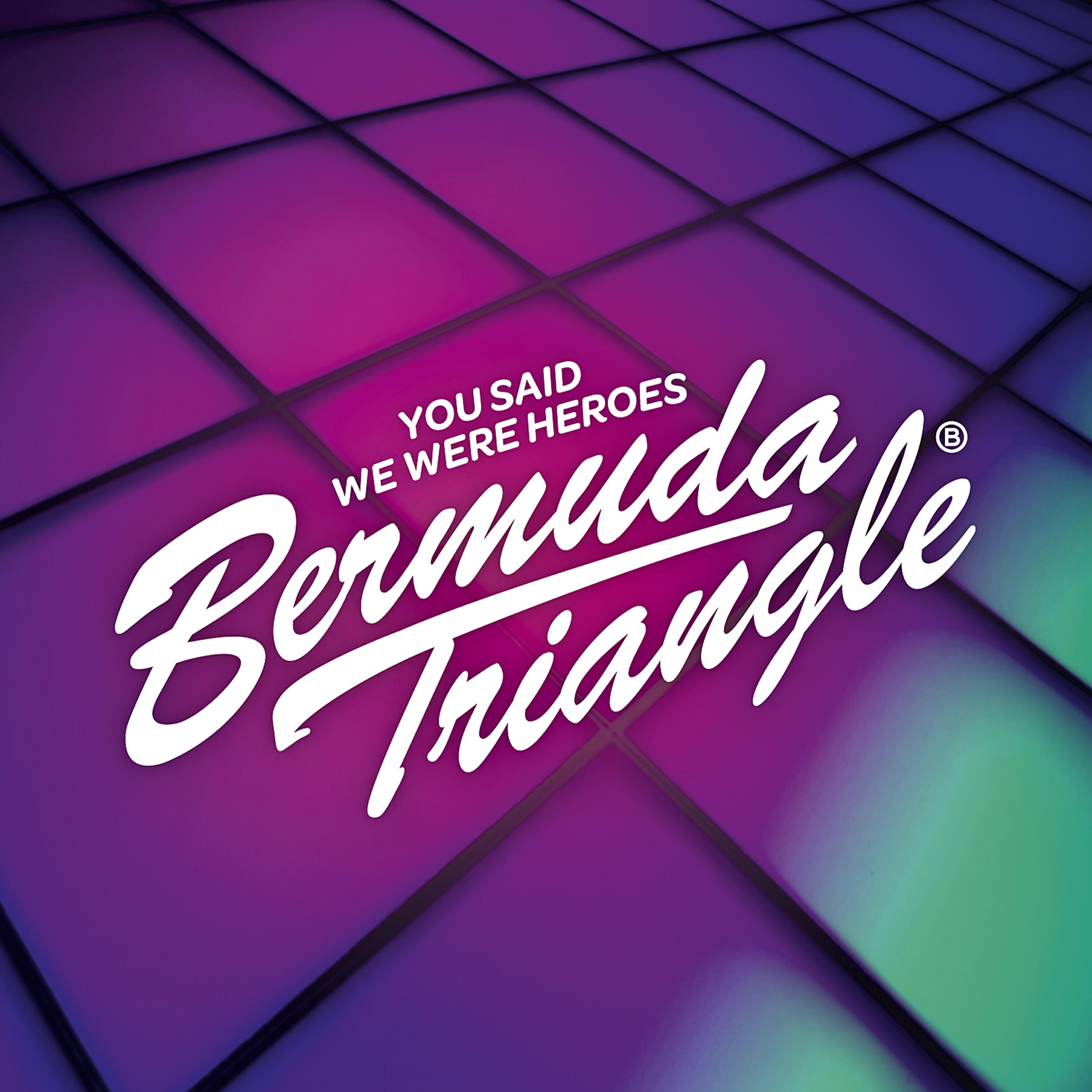 Релиз You Said We Were Heroes (Single)
