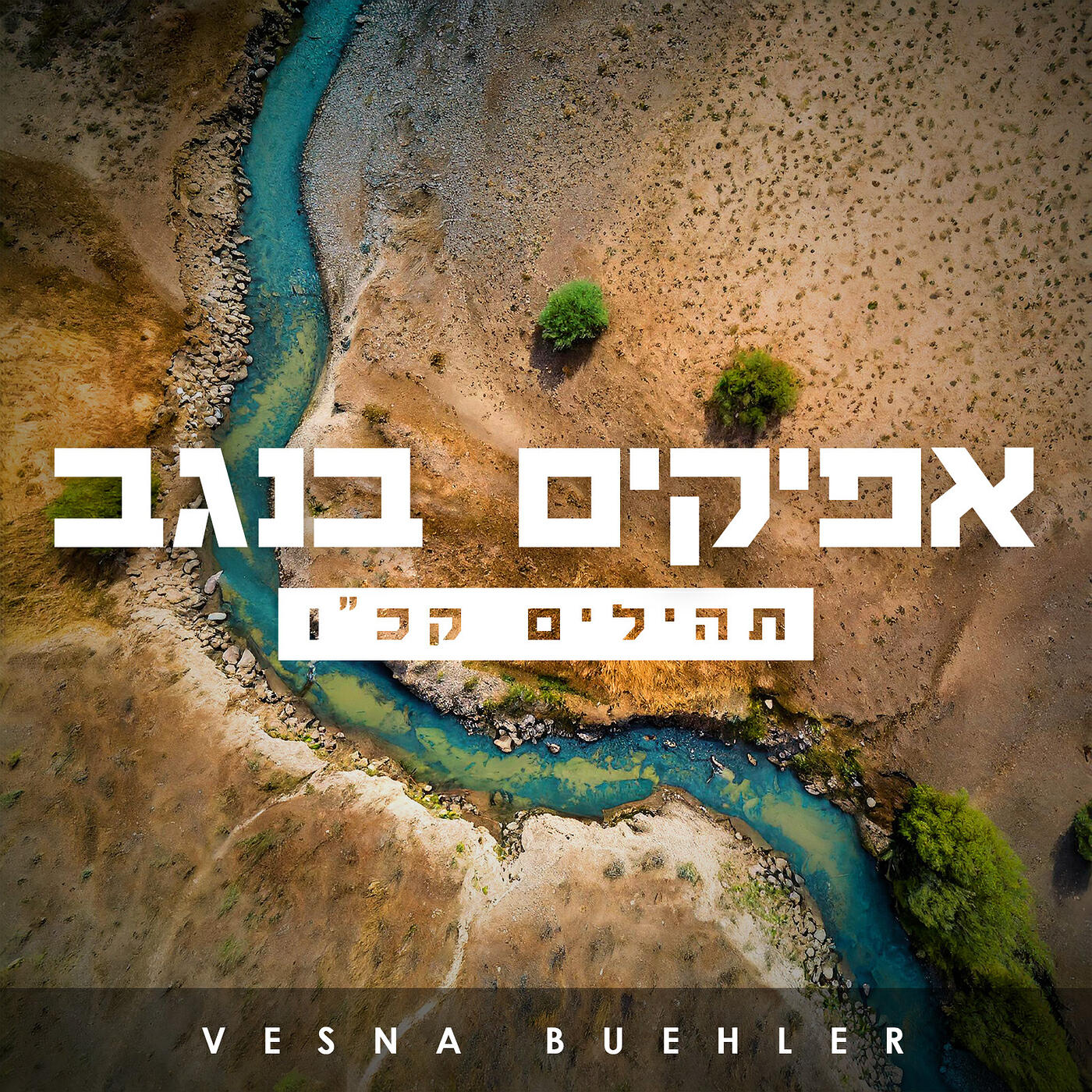Релиз אפיקים בנגב (תהילים קכ״ו )