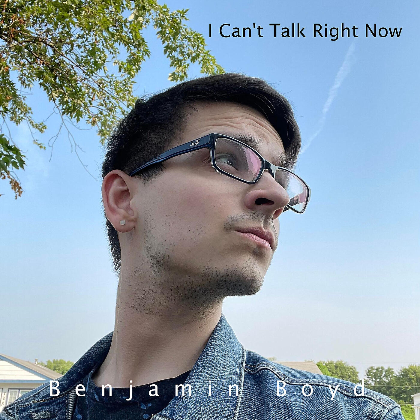 Релиз I Can't Talk Right Now