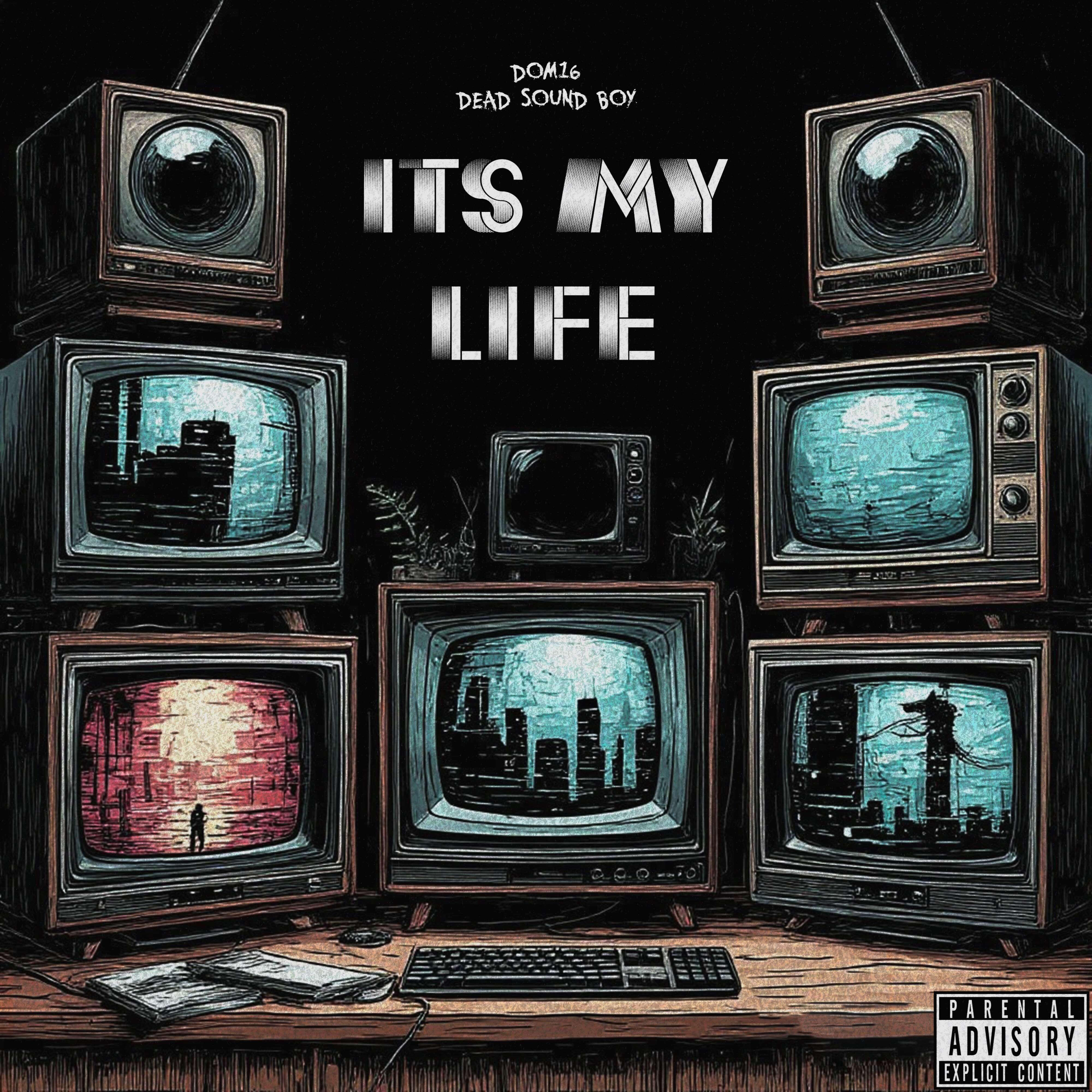Релиз It's my life