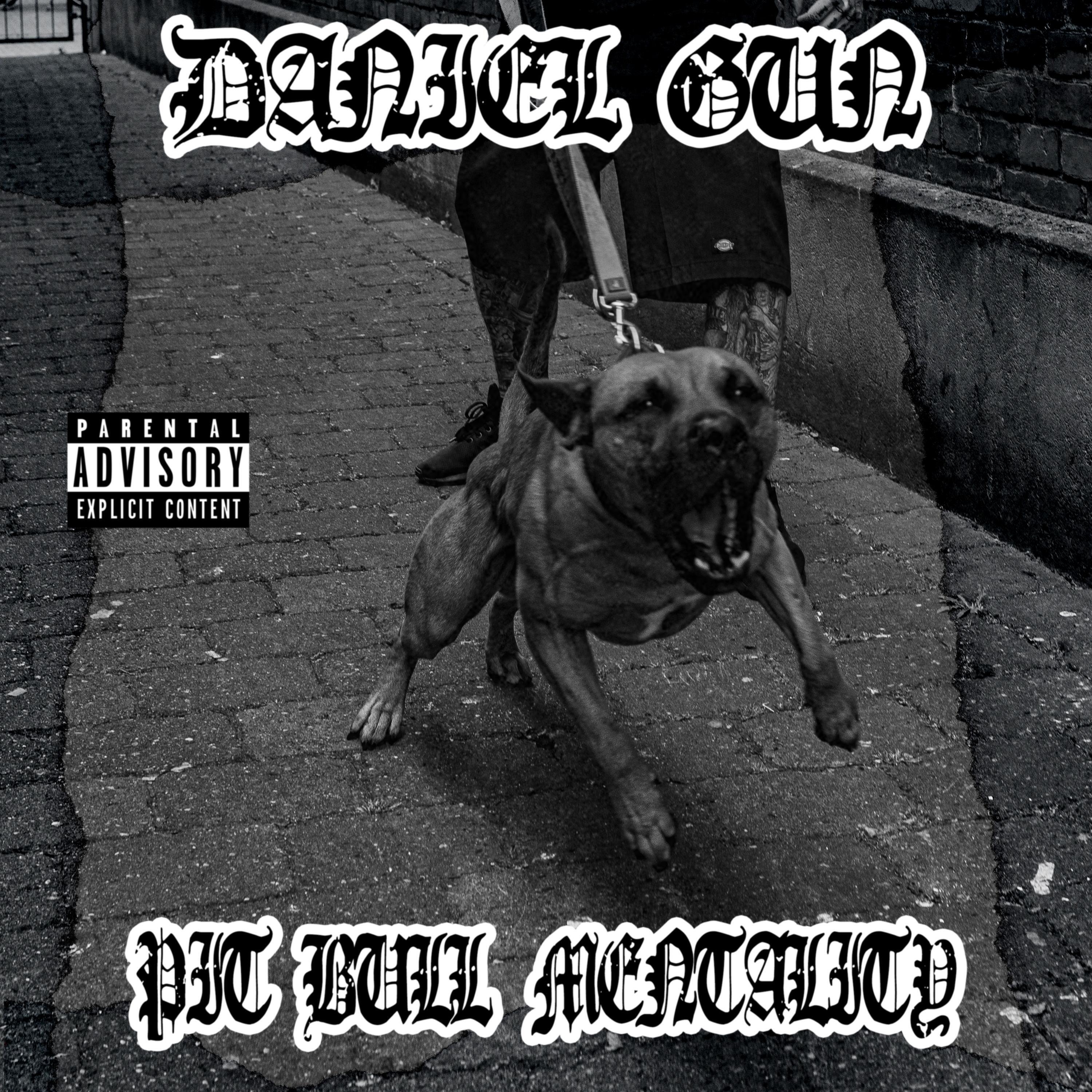 Релиз Pit Bull Mentality
