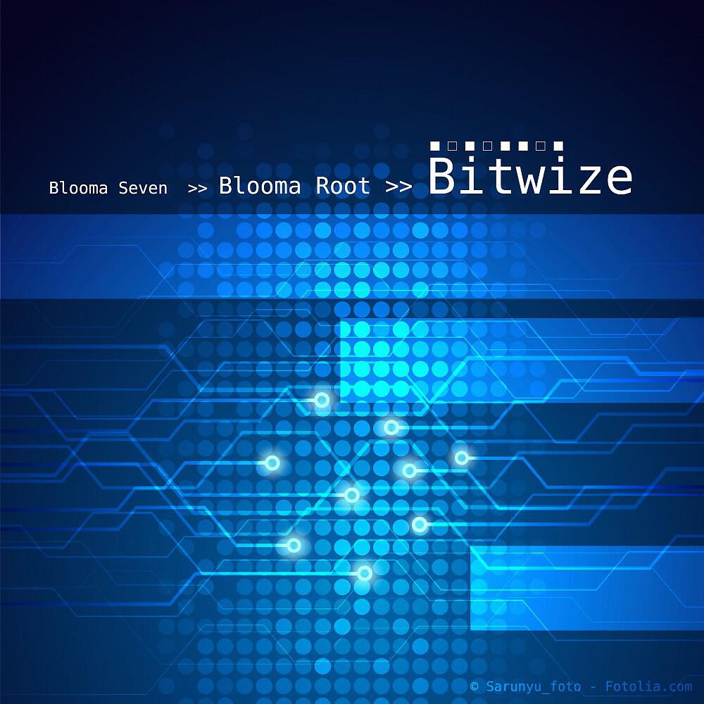 Релиз Bitwize