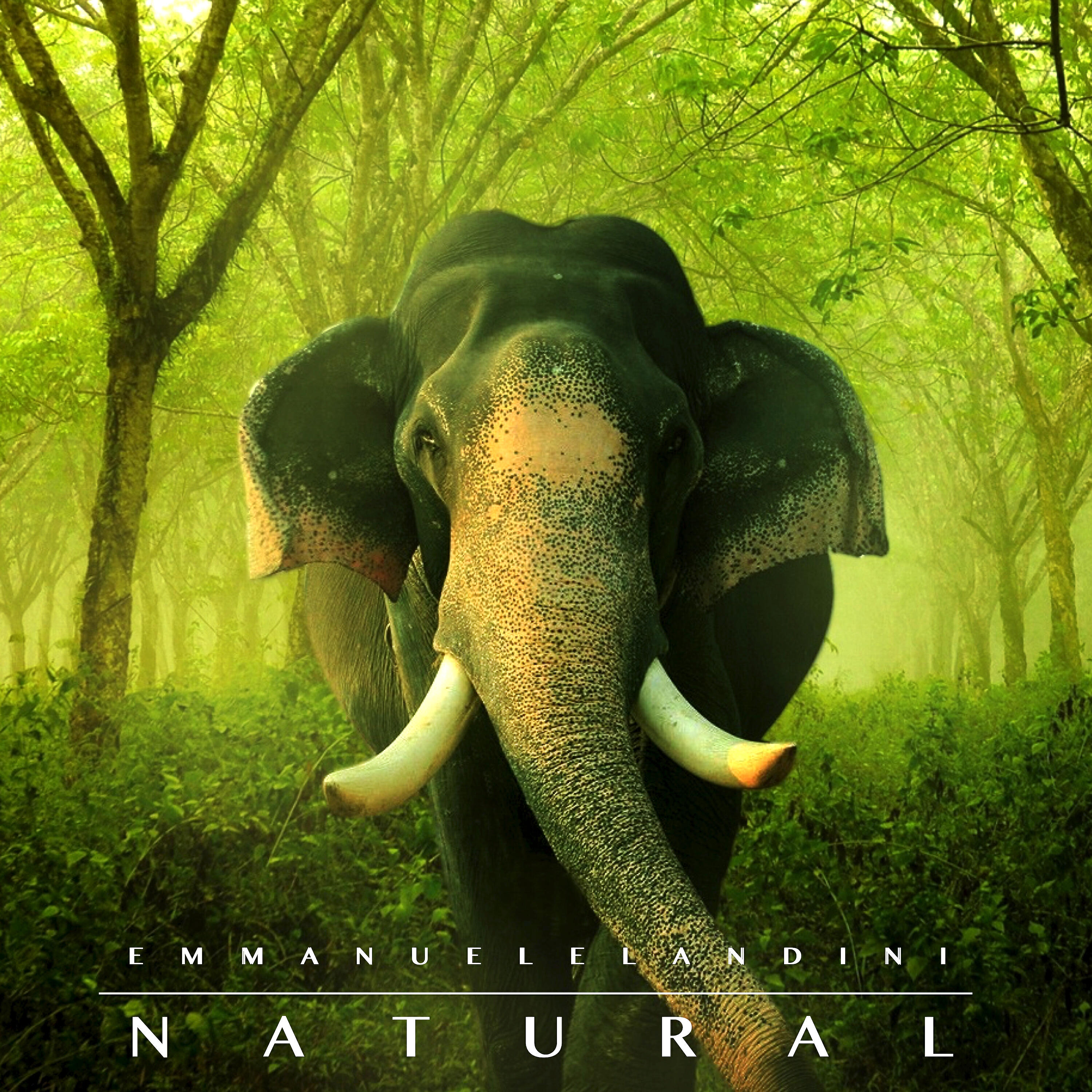 Релиз Natural (Remastered)