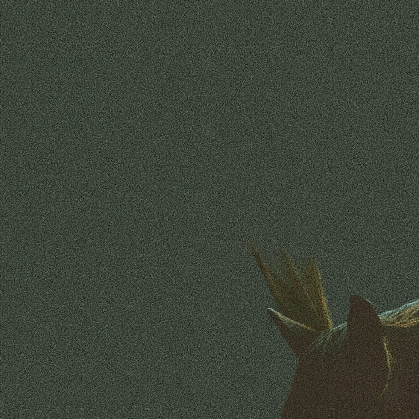 Релиз Who Don't Belong