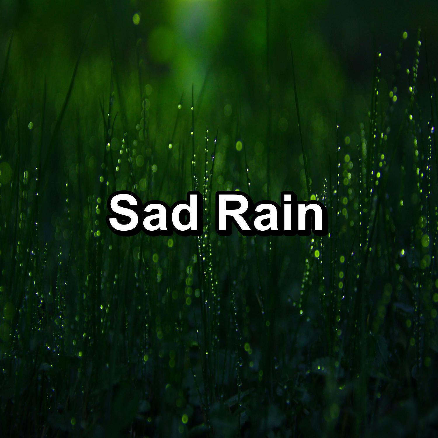 Релиз Sad Rain