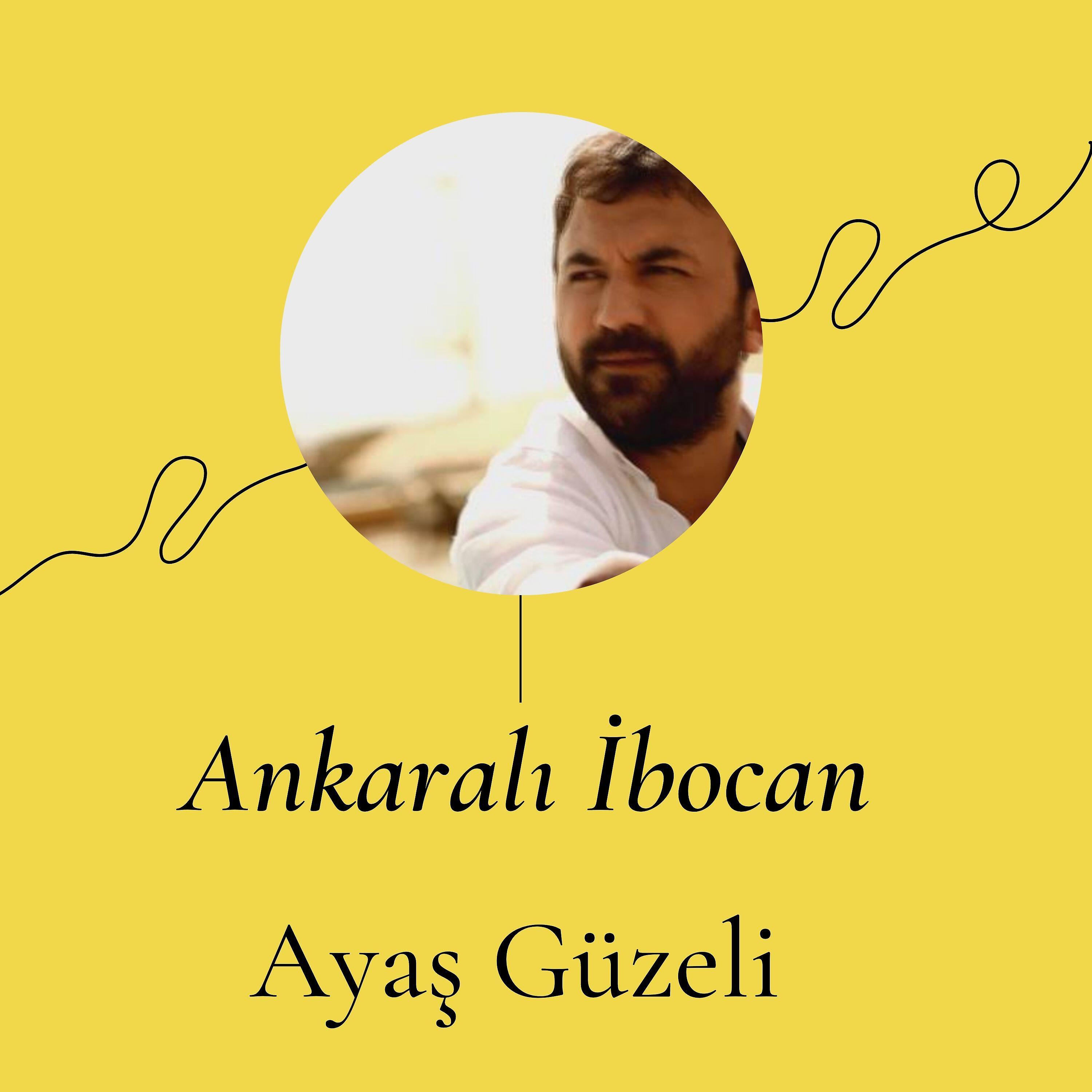 Постер альбома Ayaş Güzeli