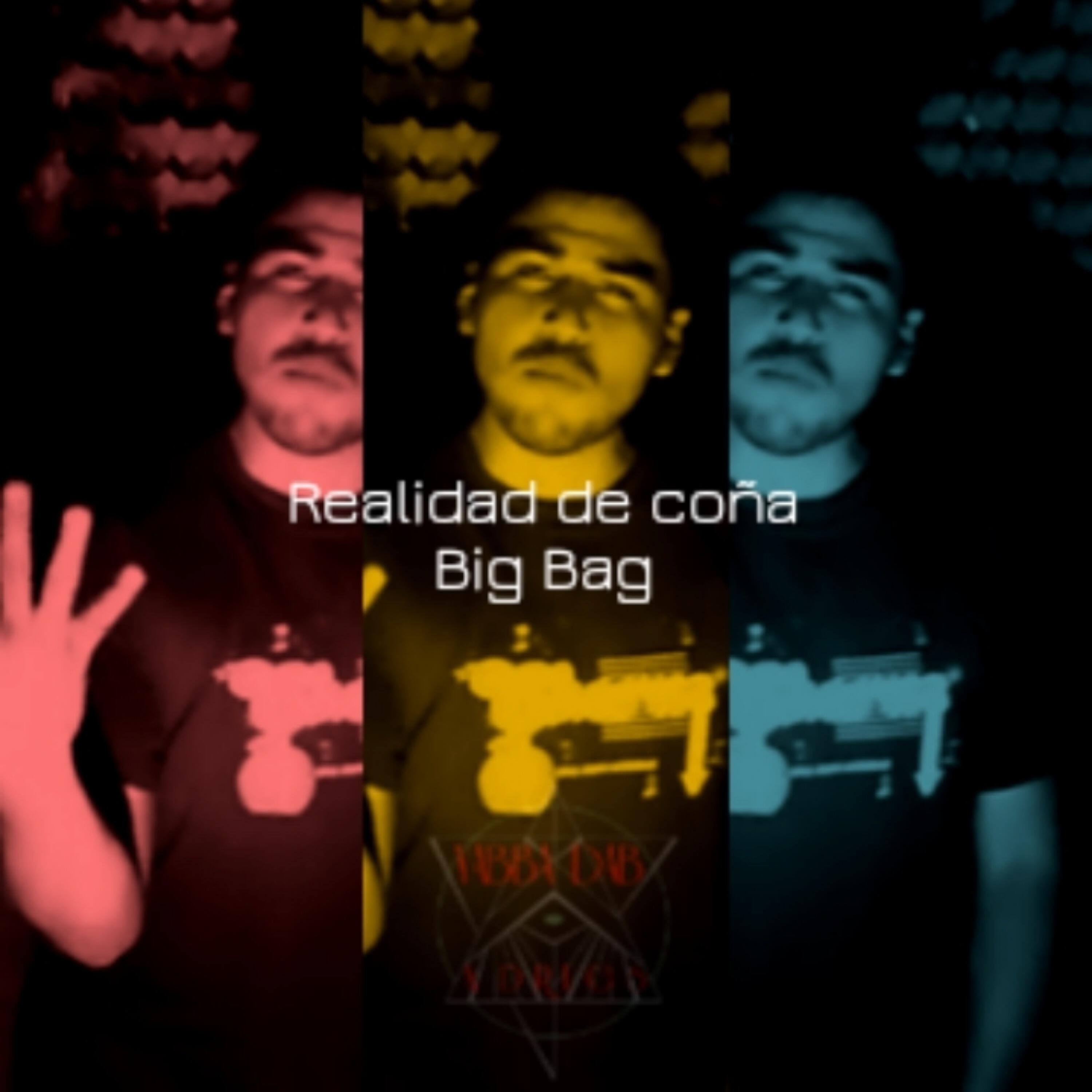 Релиз Realidad de Coña