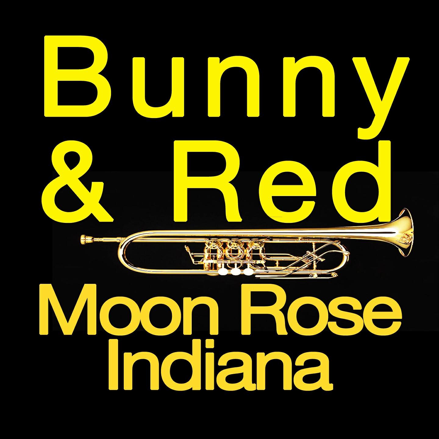 Релиз Moon Rose  Indiana (Original Artists Original Songs)