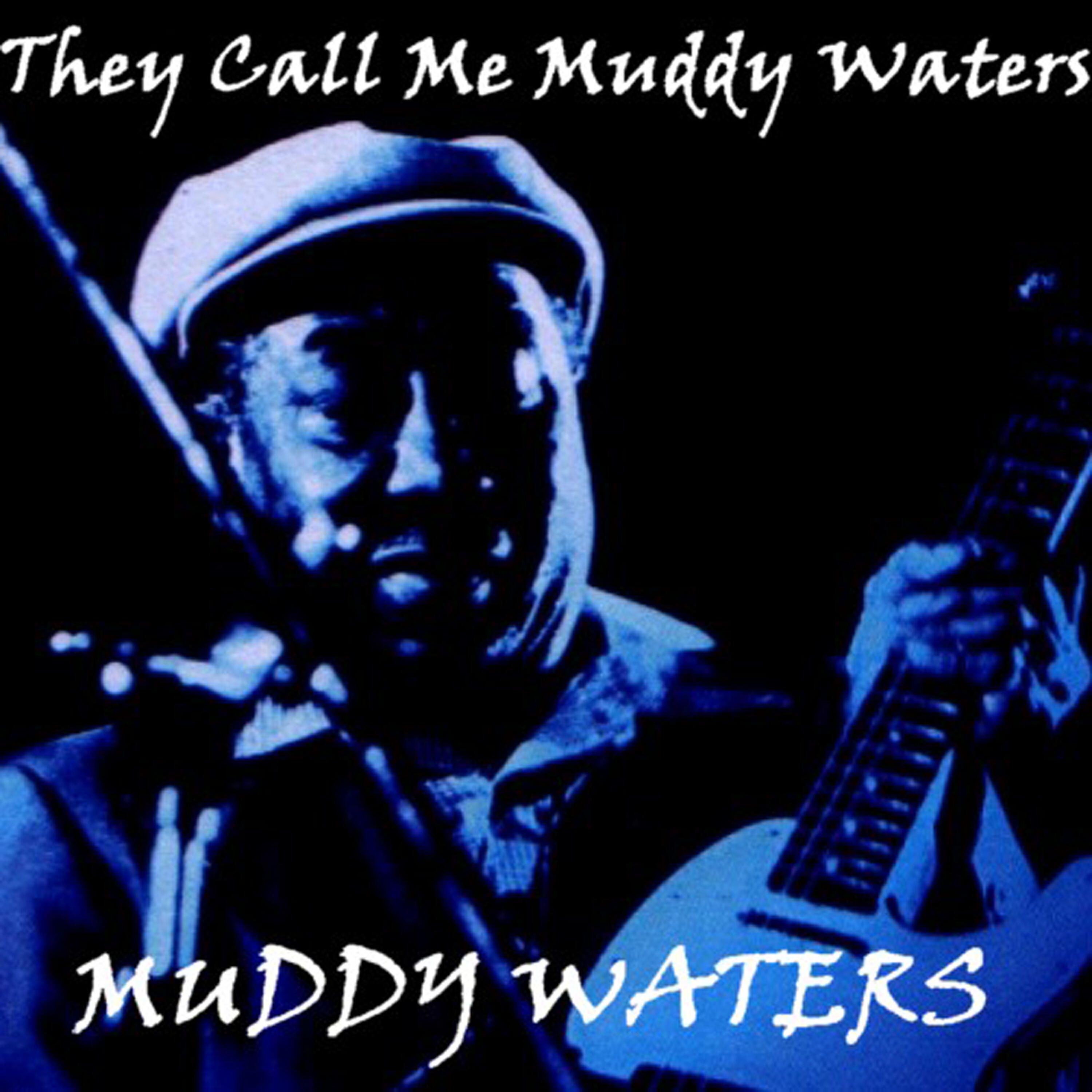 Релиз They Call Me Muddy Waters
