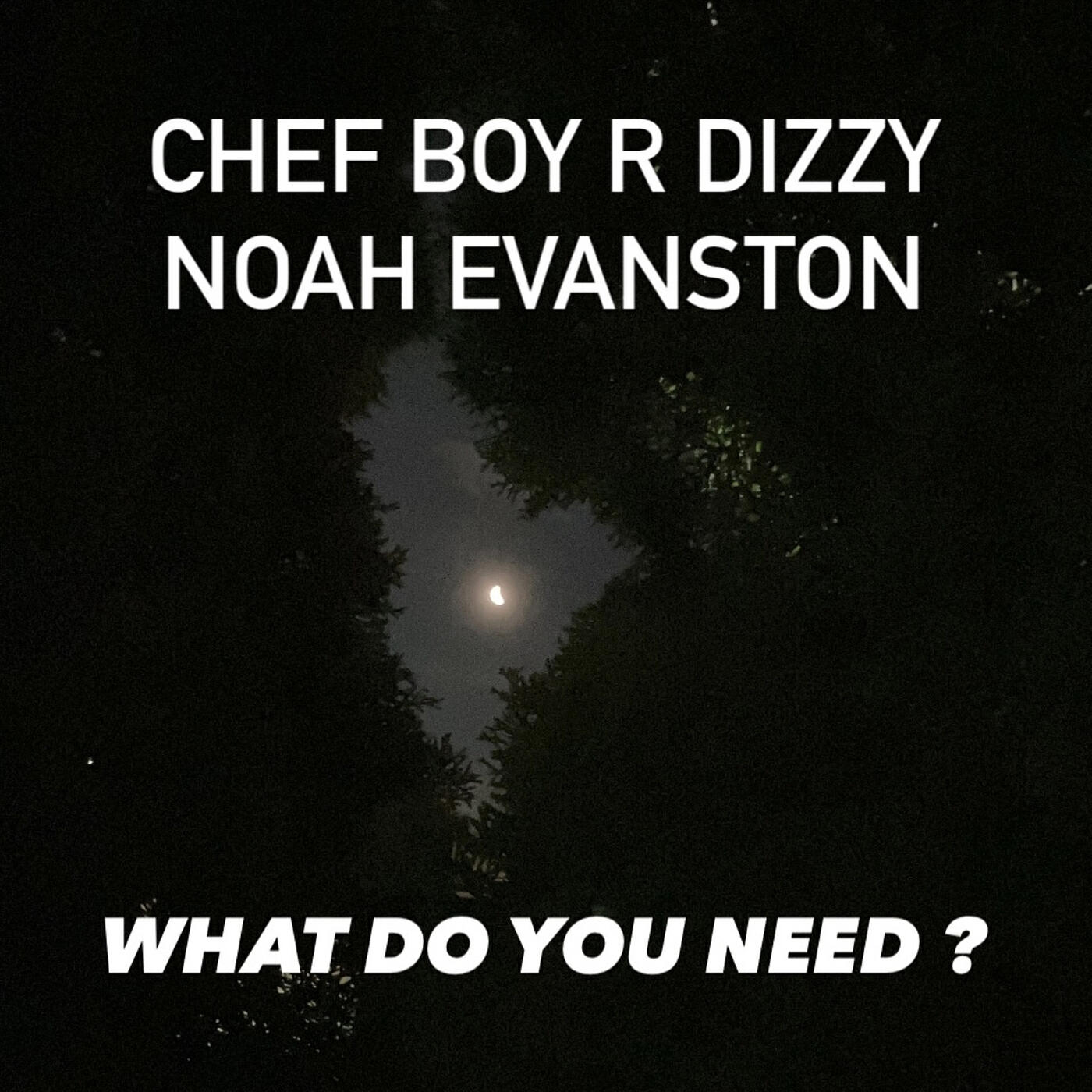 Релиз What Do You Need ?