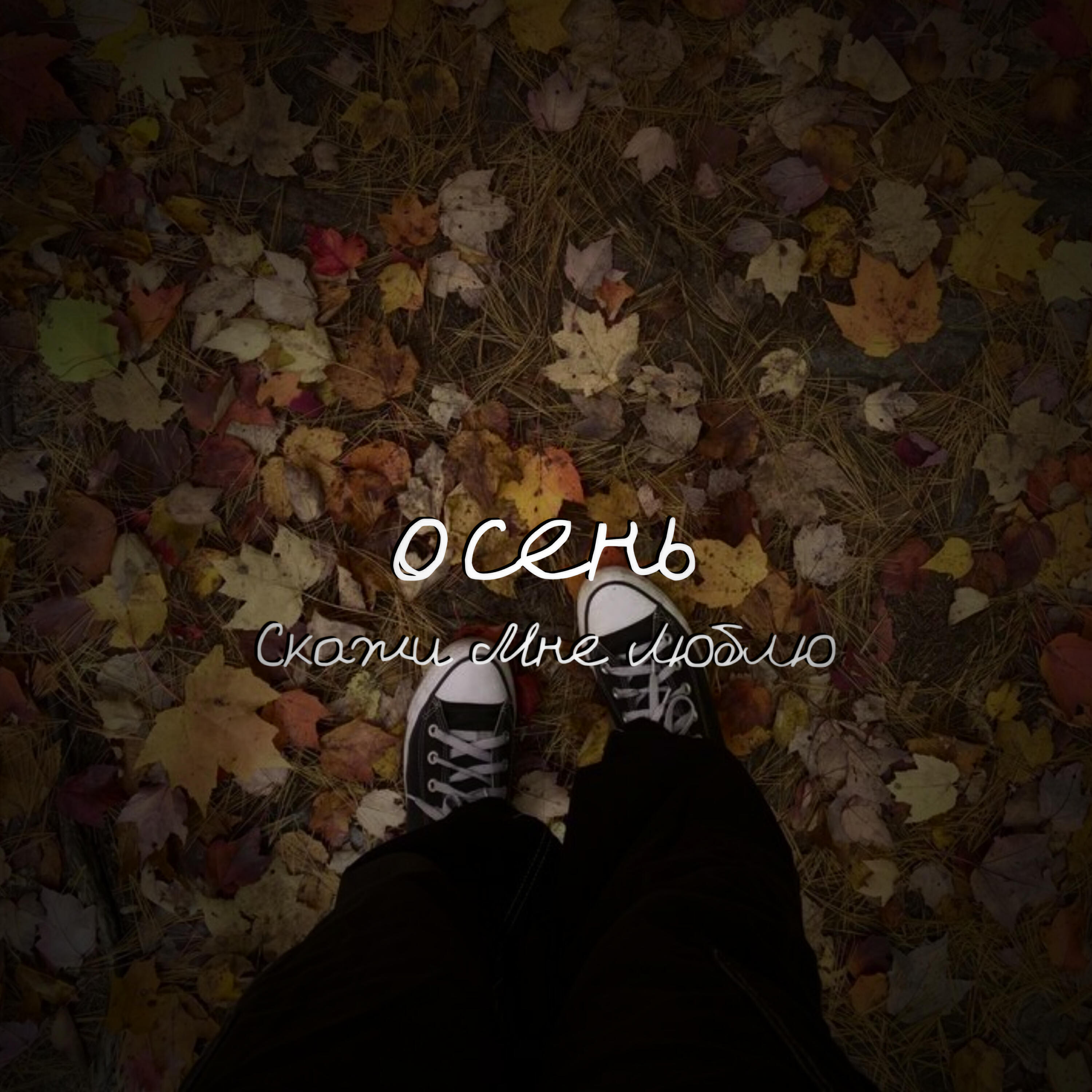 Релиз осень